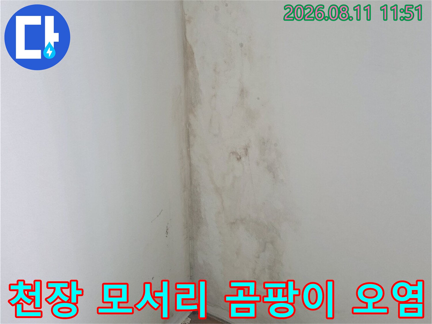 아파트 베란다 천장 모서리의 습기로 인한 곰팡이 오염 상태