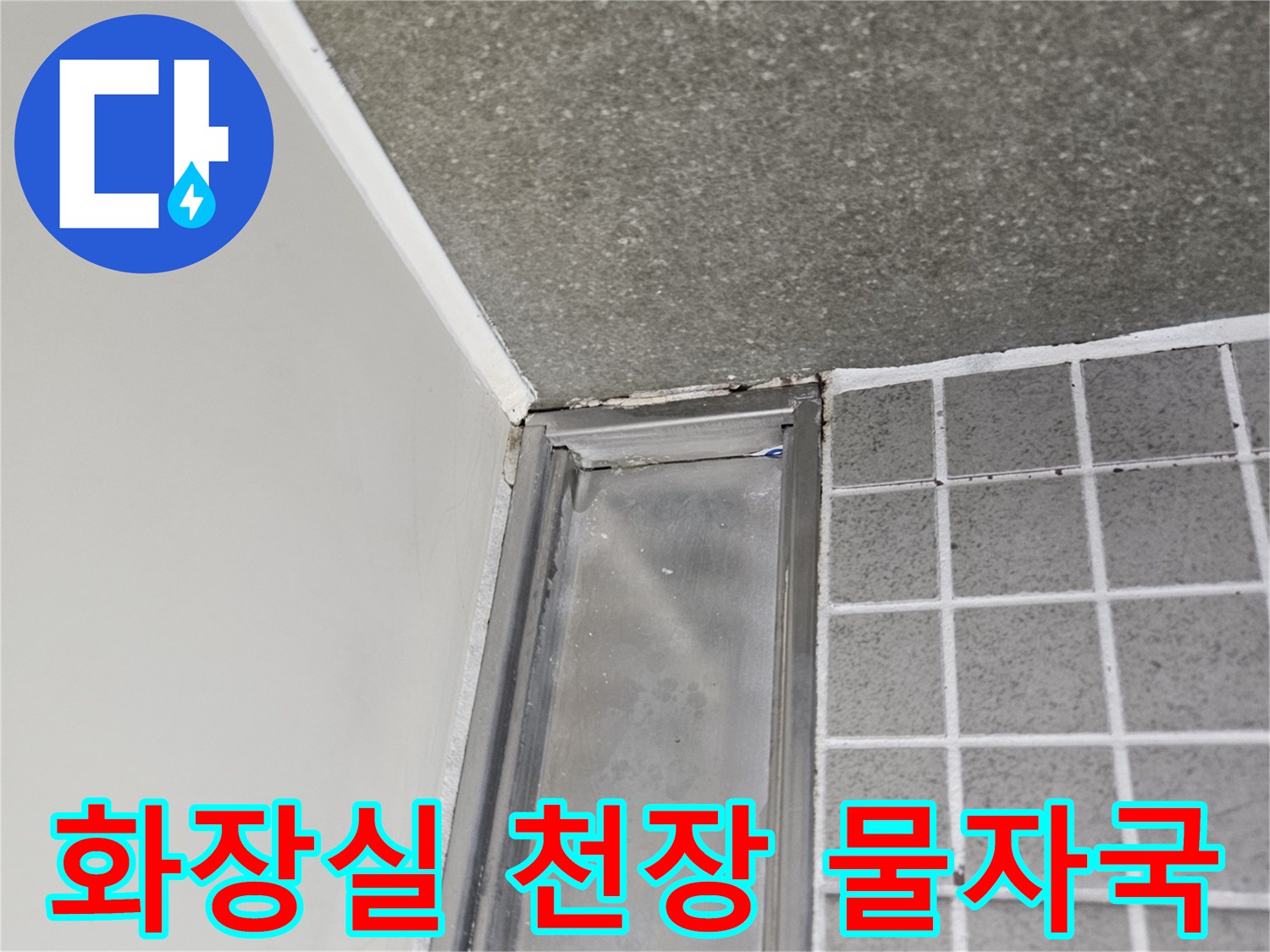 양주 옥정동 화장실-천장 내부의 습기와 물자국 상태