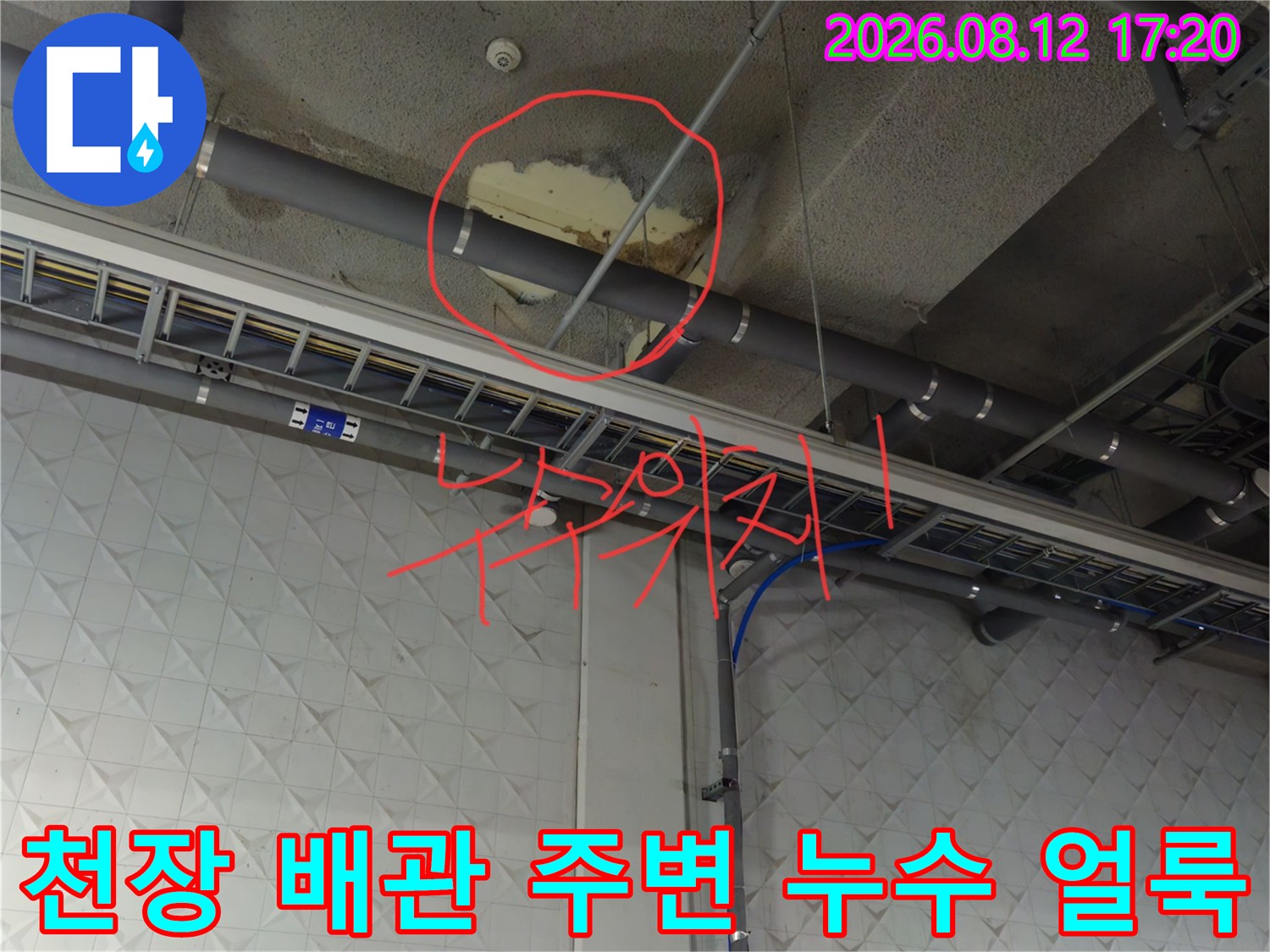상가 지하주차장 천장 배관 하단 슬라브의 누수 및 변색 지점