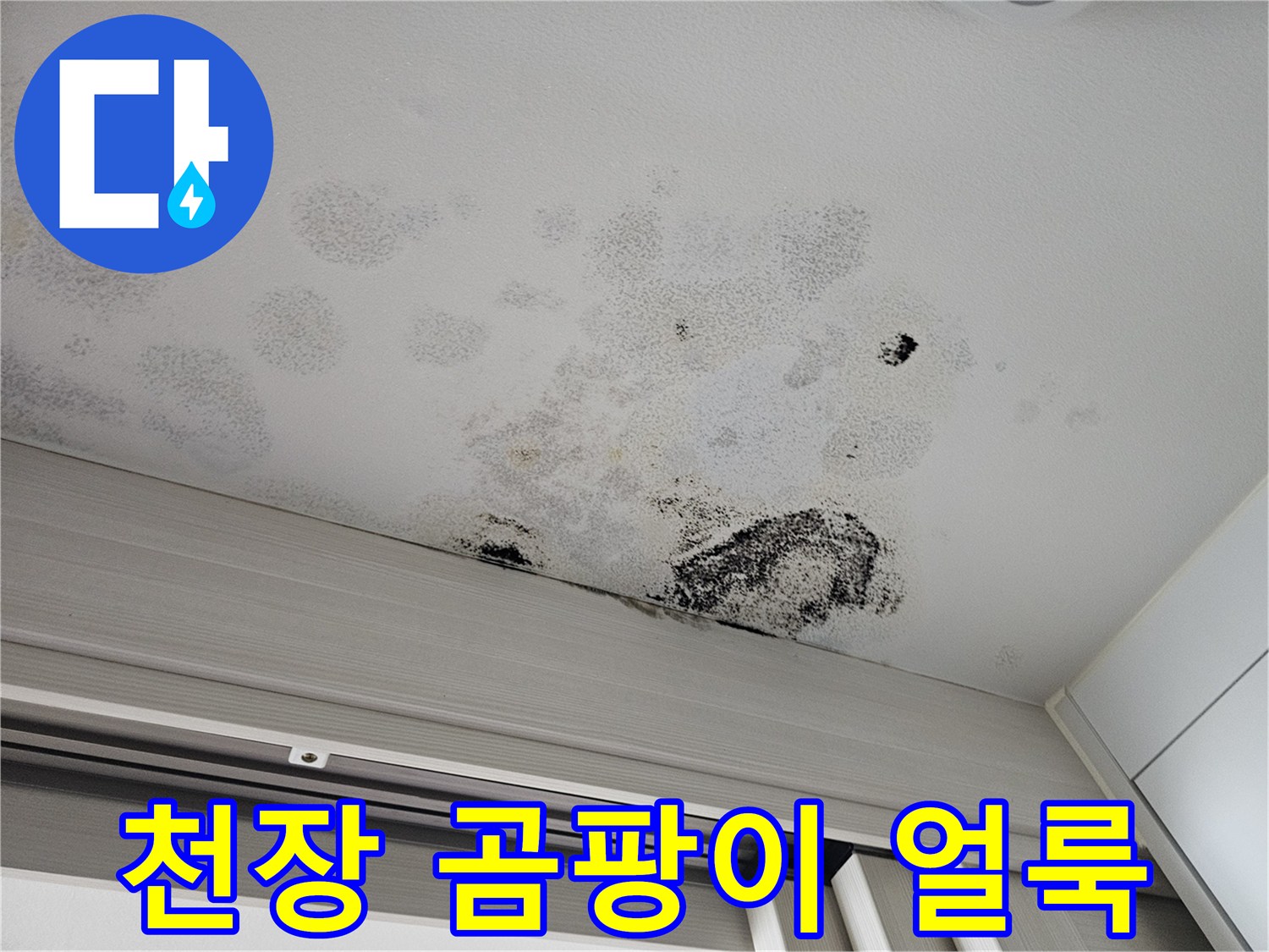 안산 단원구 아파트 현관 중문 천장에 발생한 곰팡이와 물샘 흔적