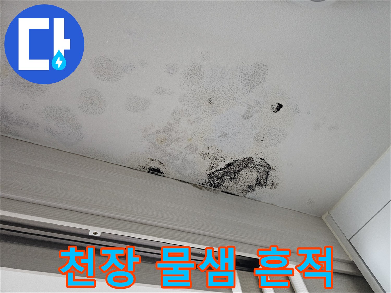 안산 현장의 아랫집 천장에 나타난 젖은 자국과 곰팡이