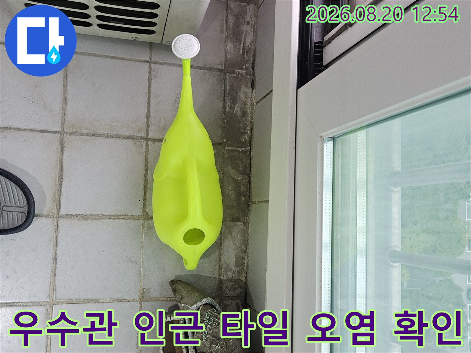 분당 정자동 현장 우수관 주변의 습기 머금은 타일 벽면