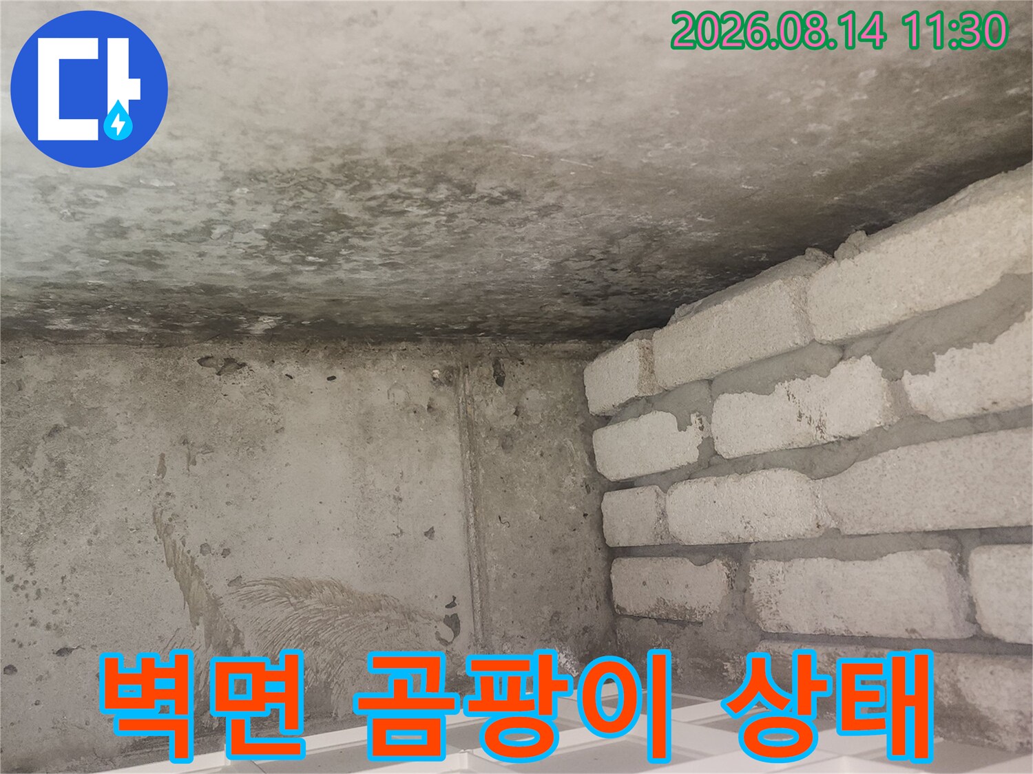 습기로 인해 변색된 벽면과 곰팡이가 발생한 천장 부위