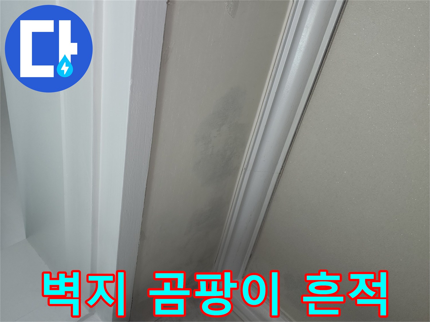 천장-벽지-패턴-사이로-번져있는-어두운-습기-및-오염-부위