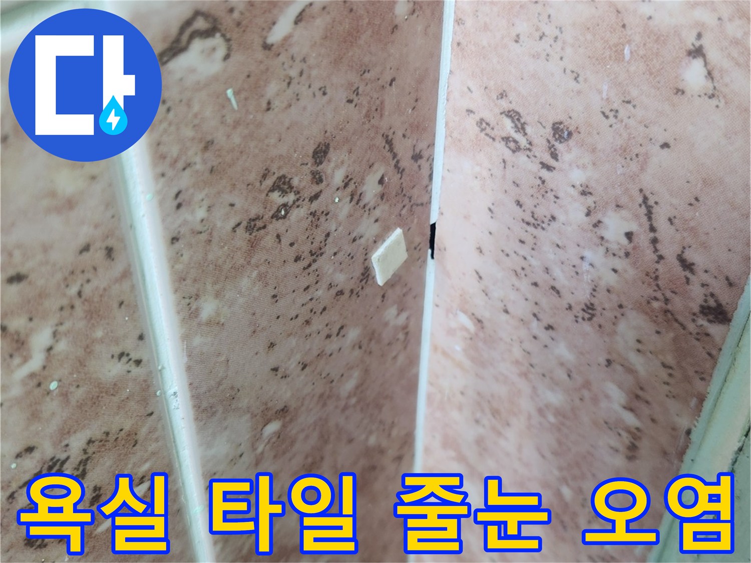 강동구 성내동-습기로 인해 변색된 욕실 타일 줄눈 부위