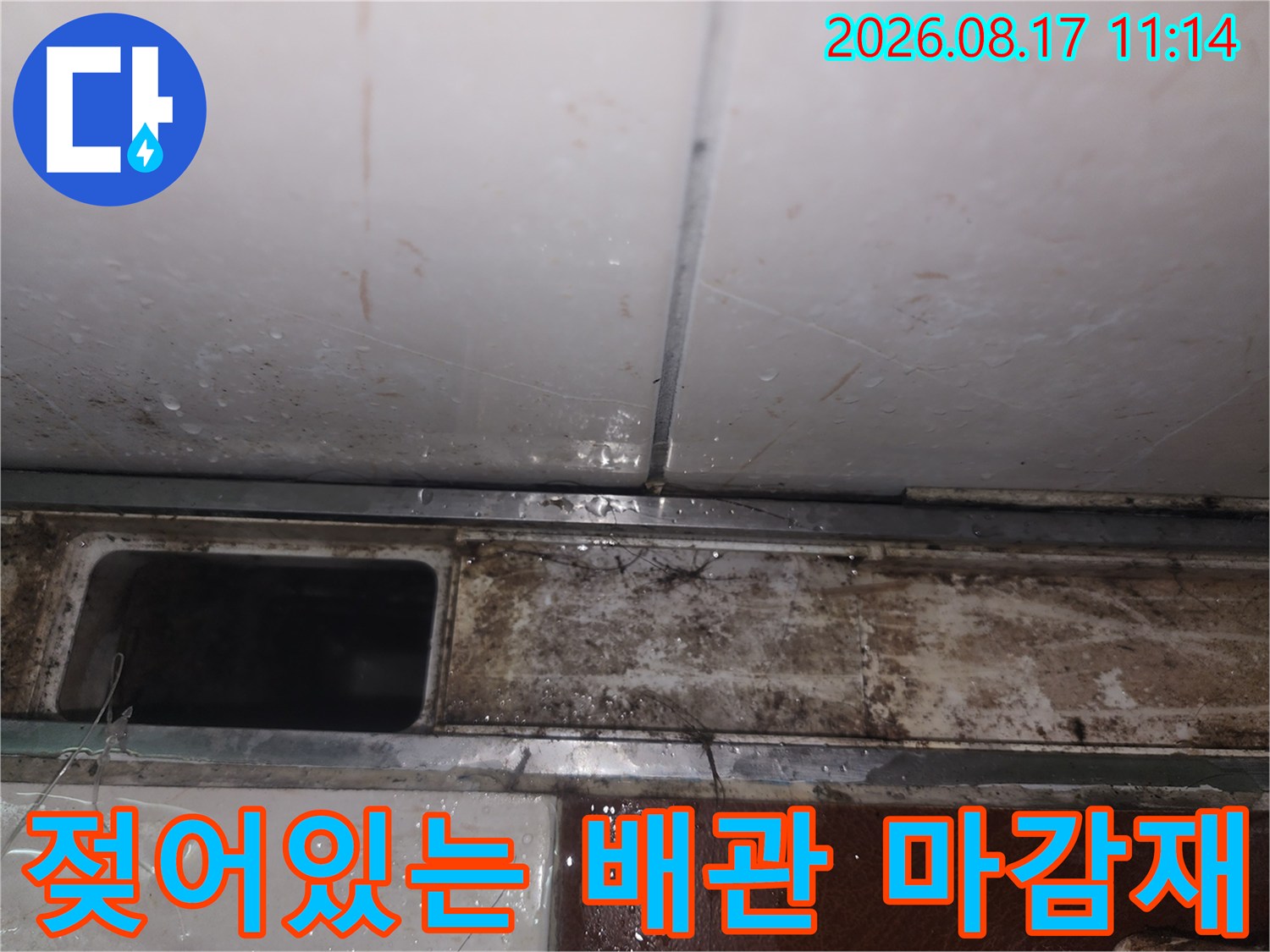 싱크대 하단부-누수로 인해 젖고 오염된 배관 주변의 상세 사진입니다.