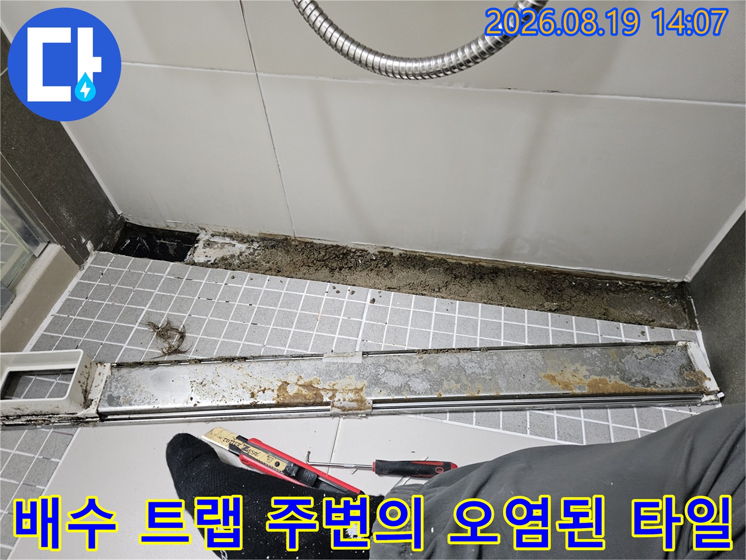 금속 배수 트랩 부근에 발생한 곰팡이와 타일 줄눈 오염 상태