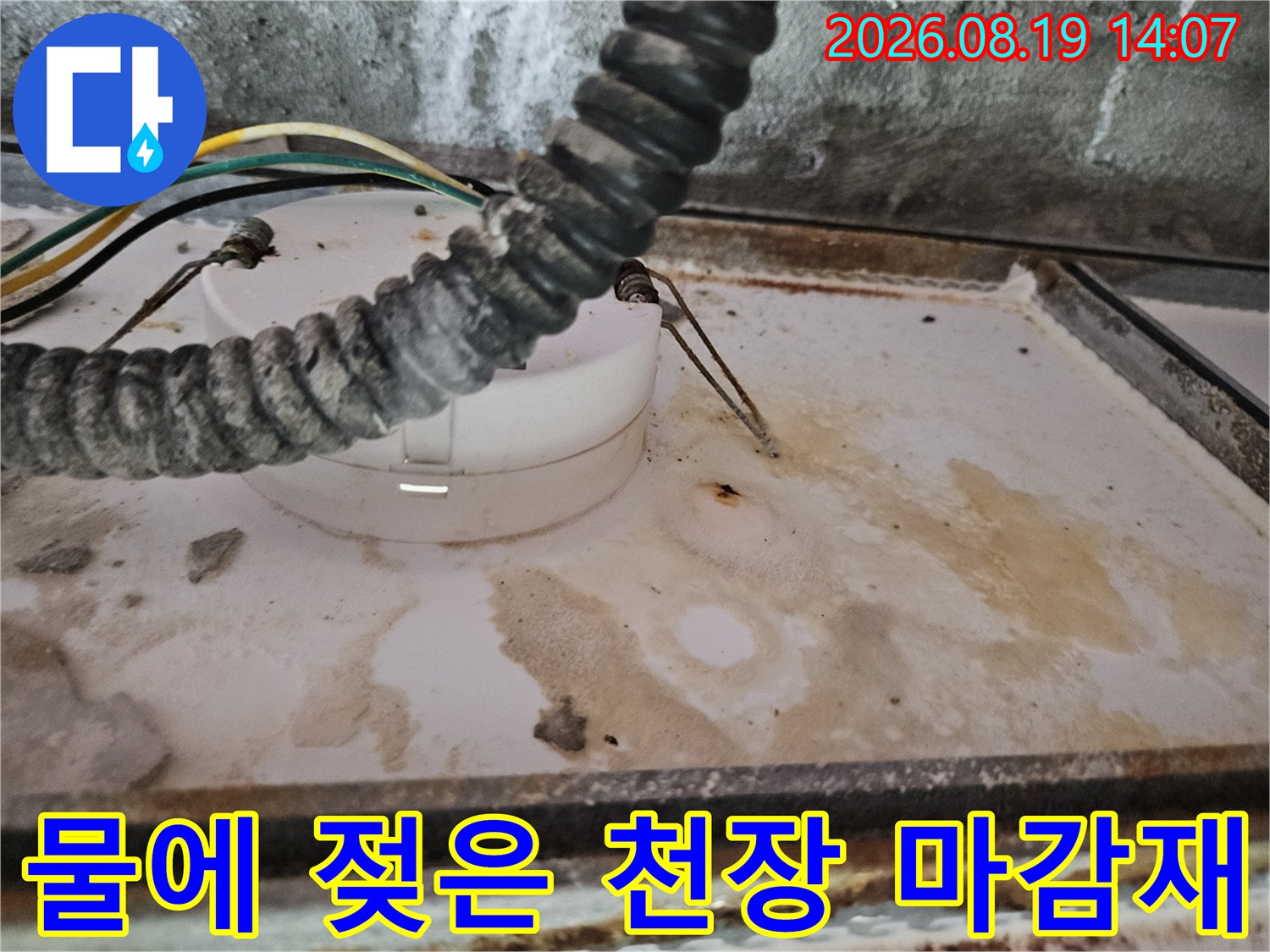 양주 옥정동-습기로 변색된 화장실 천장과 노출된 전선 부위