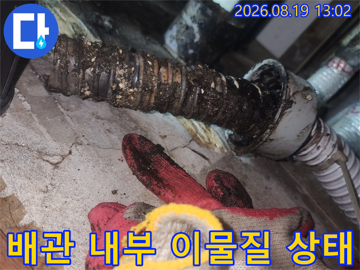 싱크대 배관 내부에 가득 찬 슬러지와 이물질 상태를 보여주는 사진입니다.
