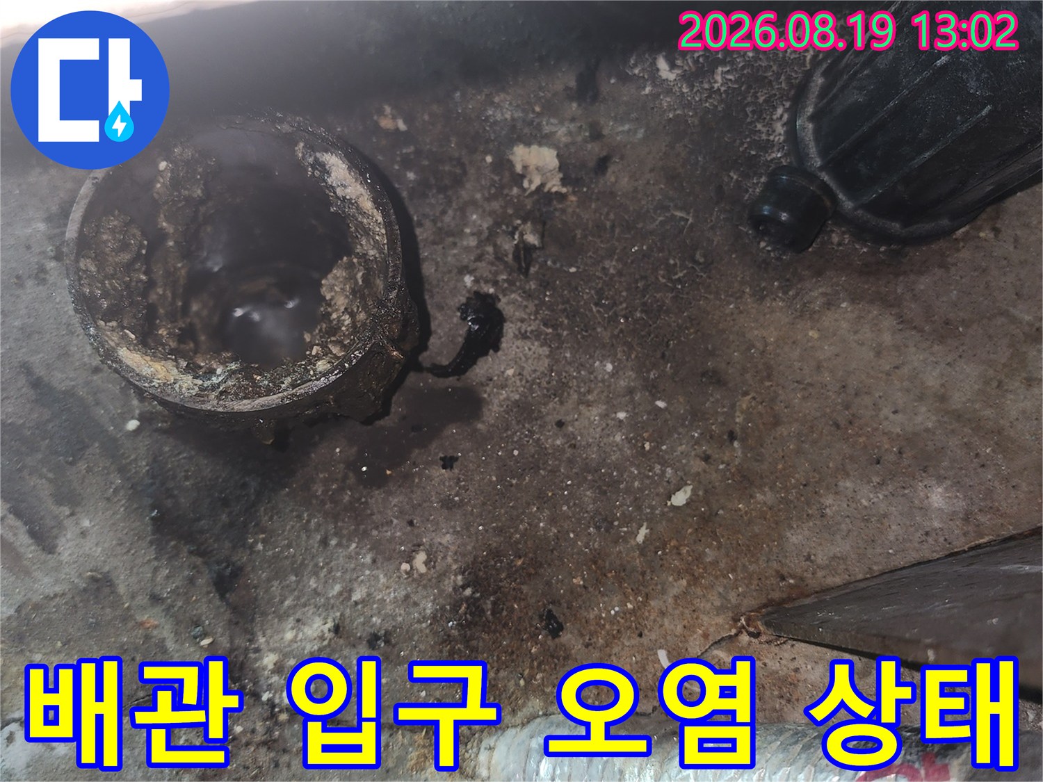 이물질과 오염물로-가득한 싱크대 배수 배관