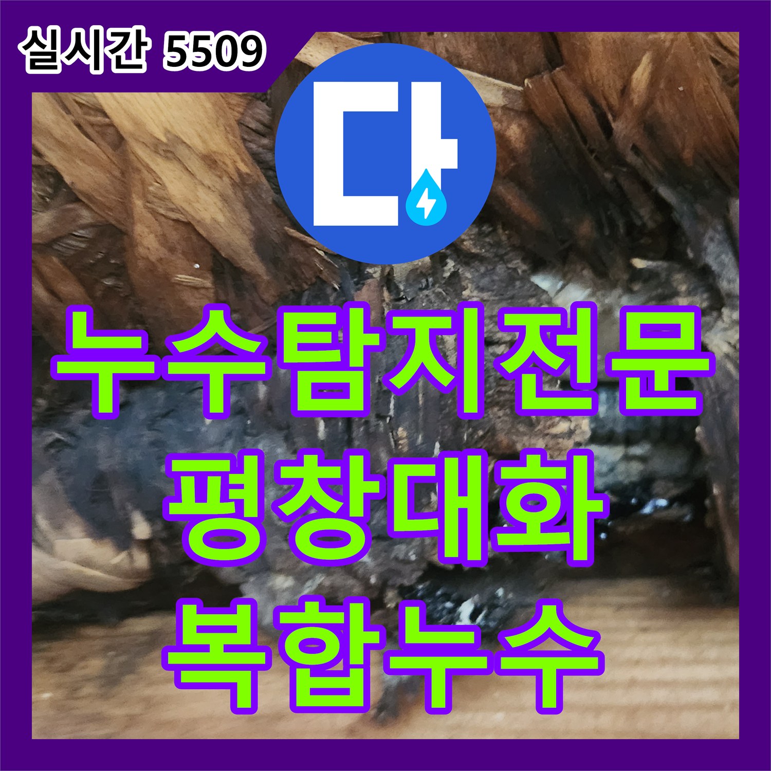 누수탐지전문 목조주택의 복합적인 누수 원인을 오수관 방수와 창문 배수로 규명한 강원특별자치도 평창군 대화면