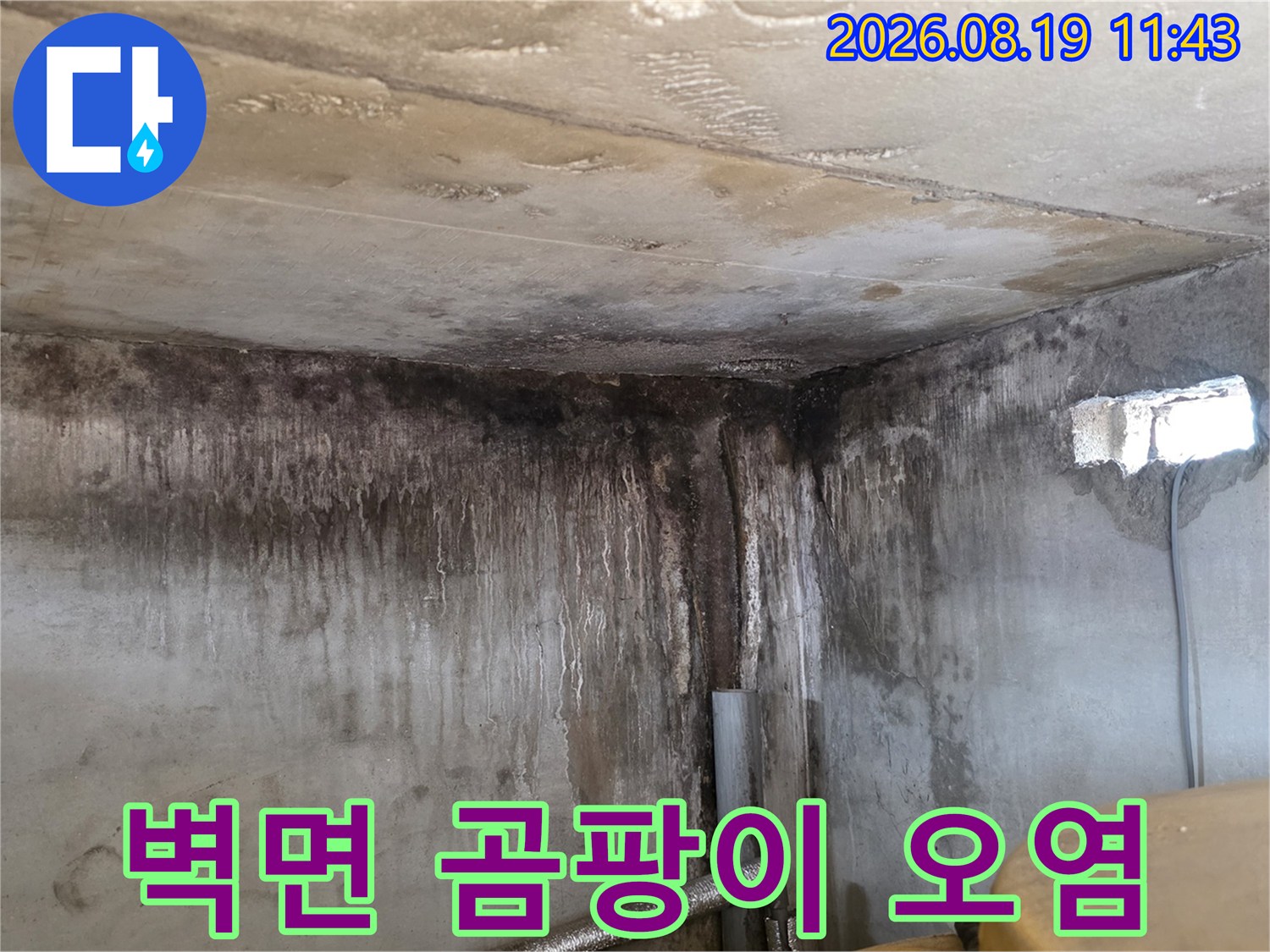 신읍동 빌라 욕실-습기로 인해 변색되고 곰팡이가 발생한 벽면