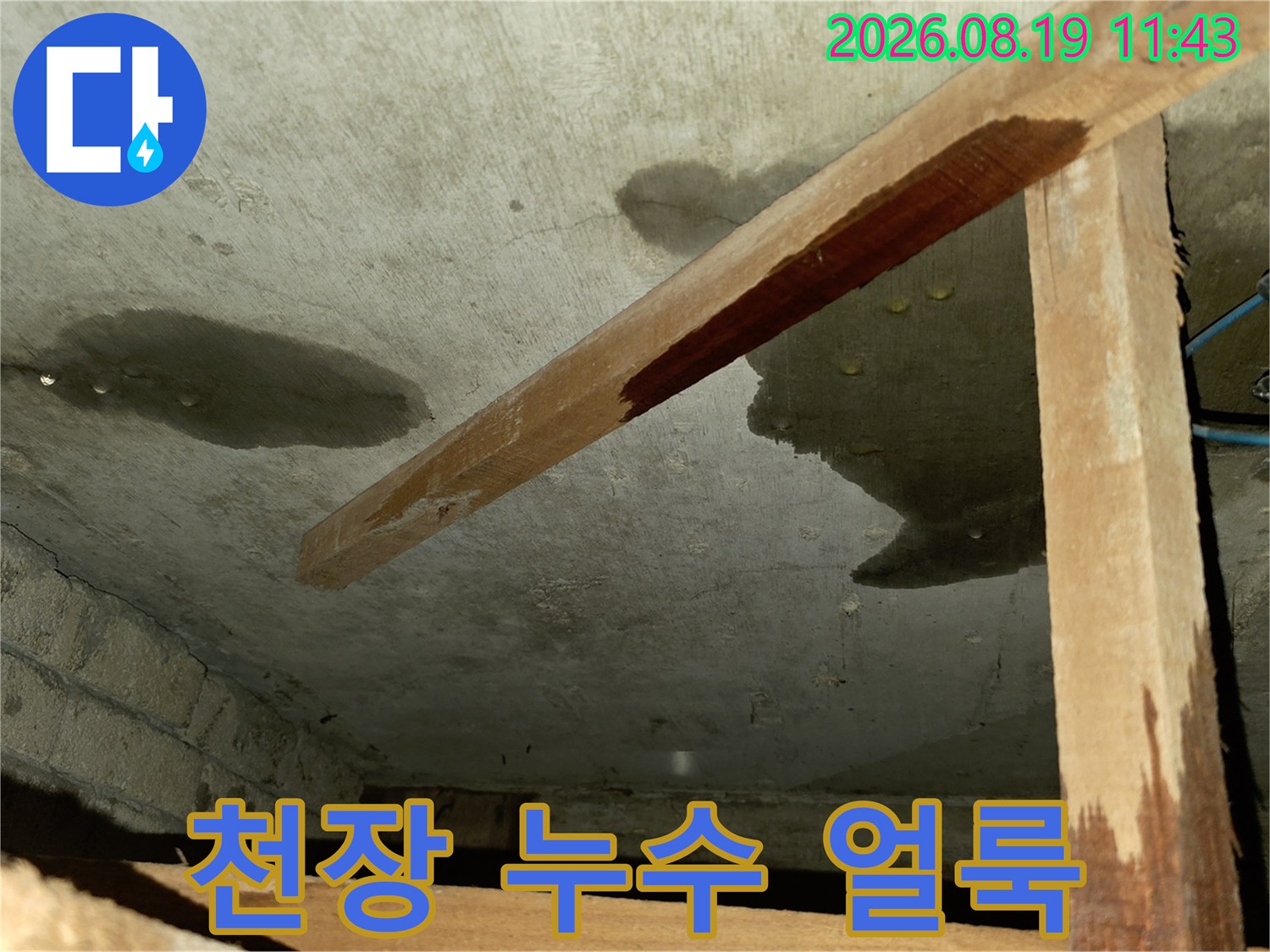 포천 신읍동 빌라 천장 슬라브에 발생한 짙은 누수 흔적과 습기 상태