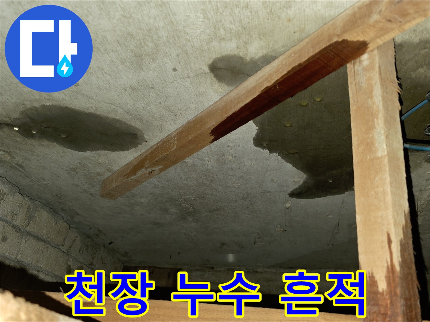 포천 신읍동 빌라 화장층 천장 배관 주변의 젖은 얼룩과 습기 상태