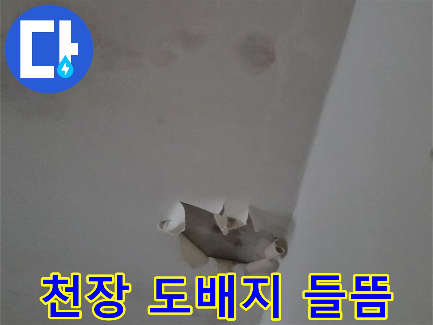 남양주 다산동-천장 도배지가 젖어 들뜨고 얼룩진 모습