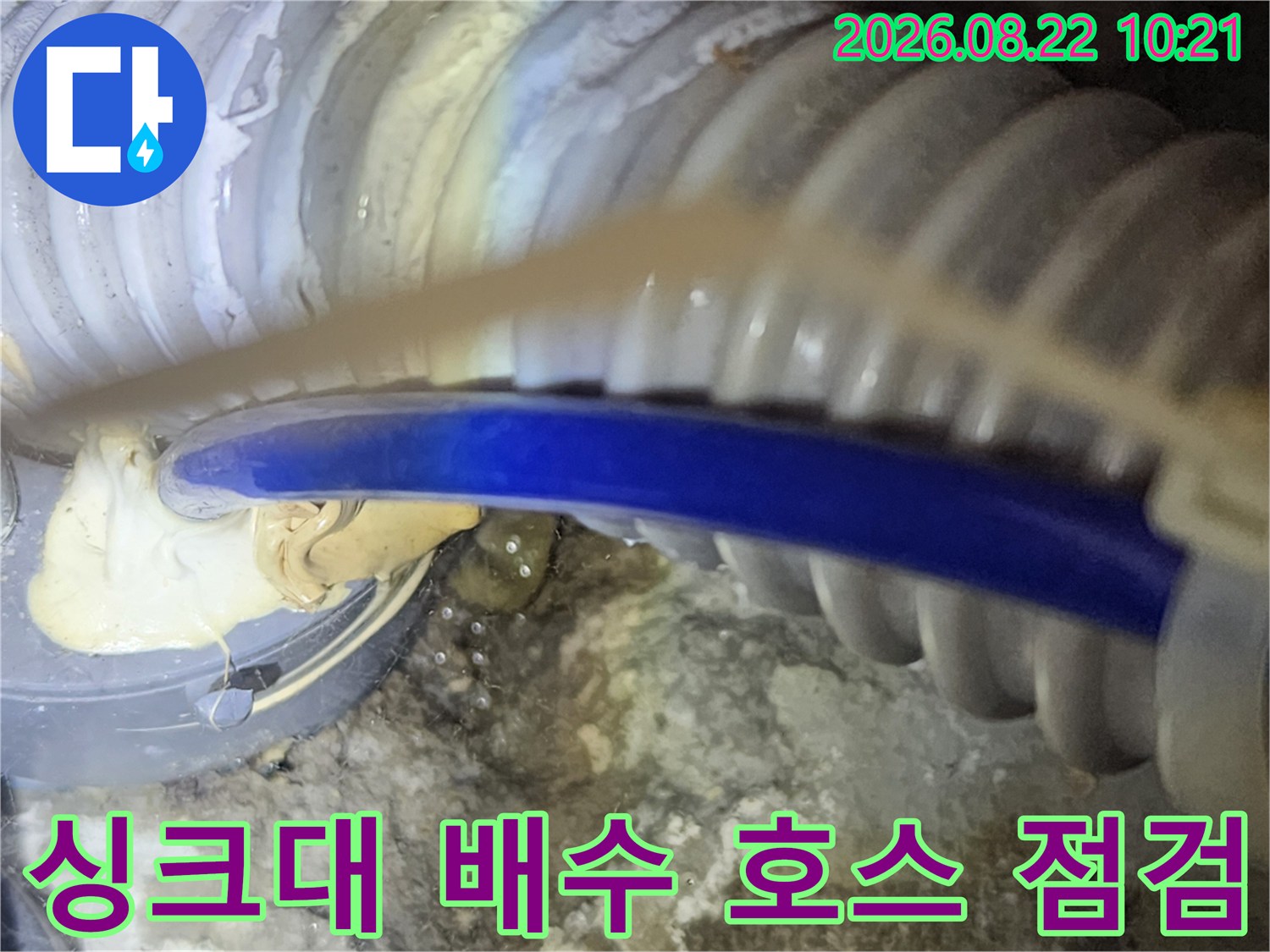 파란색 배수 호스와 굵은 주름관 연결 부위 점검 모습