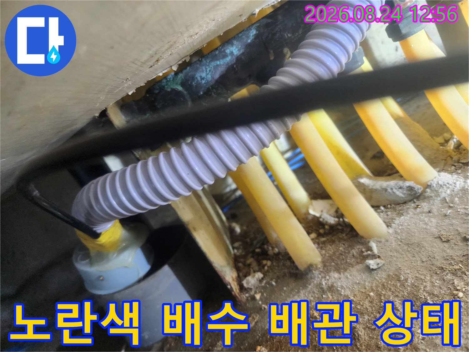 싱크대 하부의 노란색 PVC 배관과 흰색 주름관 연결 부위 상세 사진