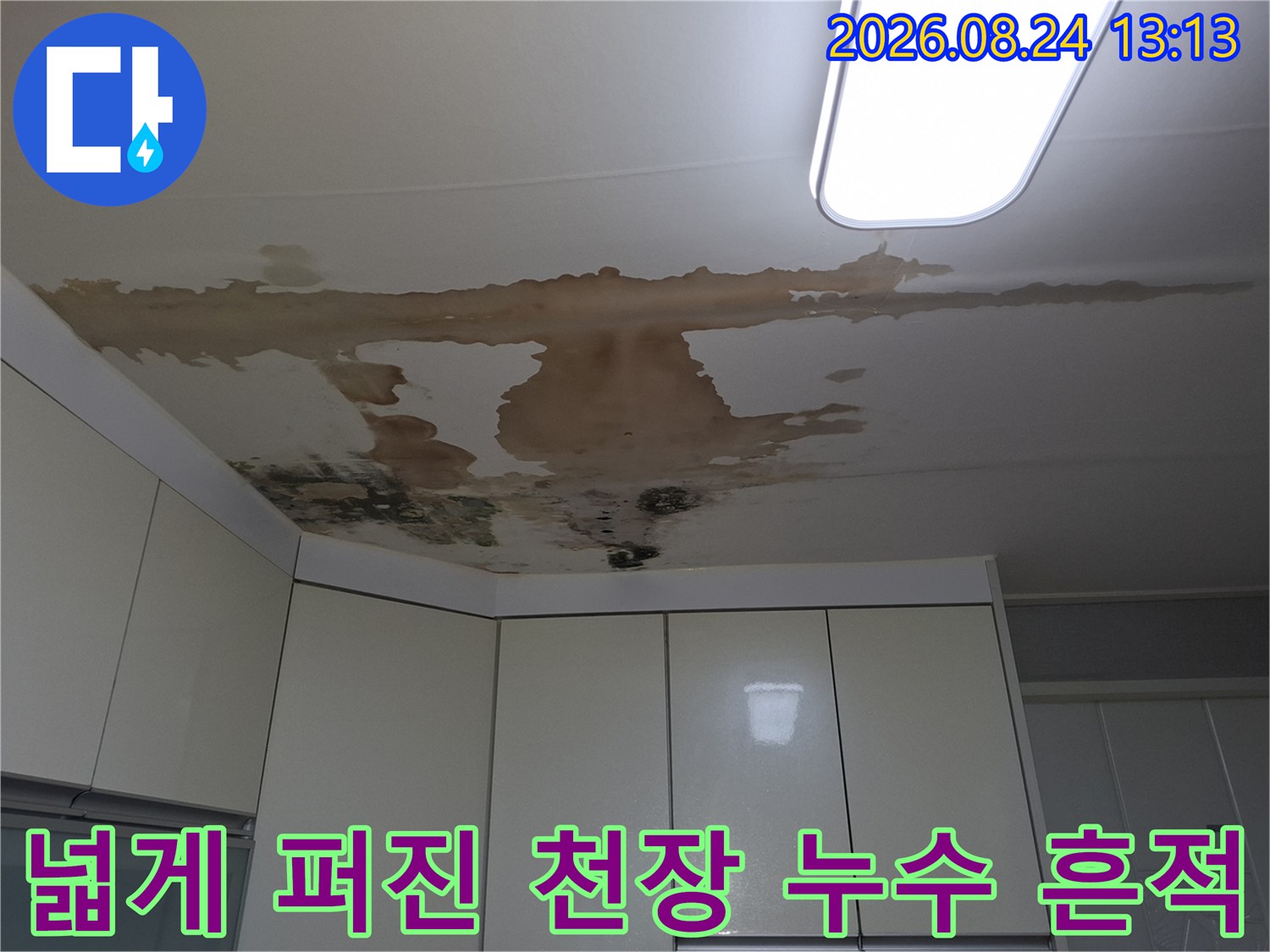 천장 마감재 전체에 걸쳐 나타난 광범위한 누수 및 변색 부위