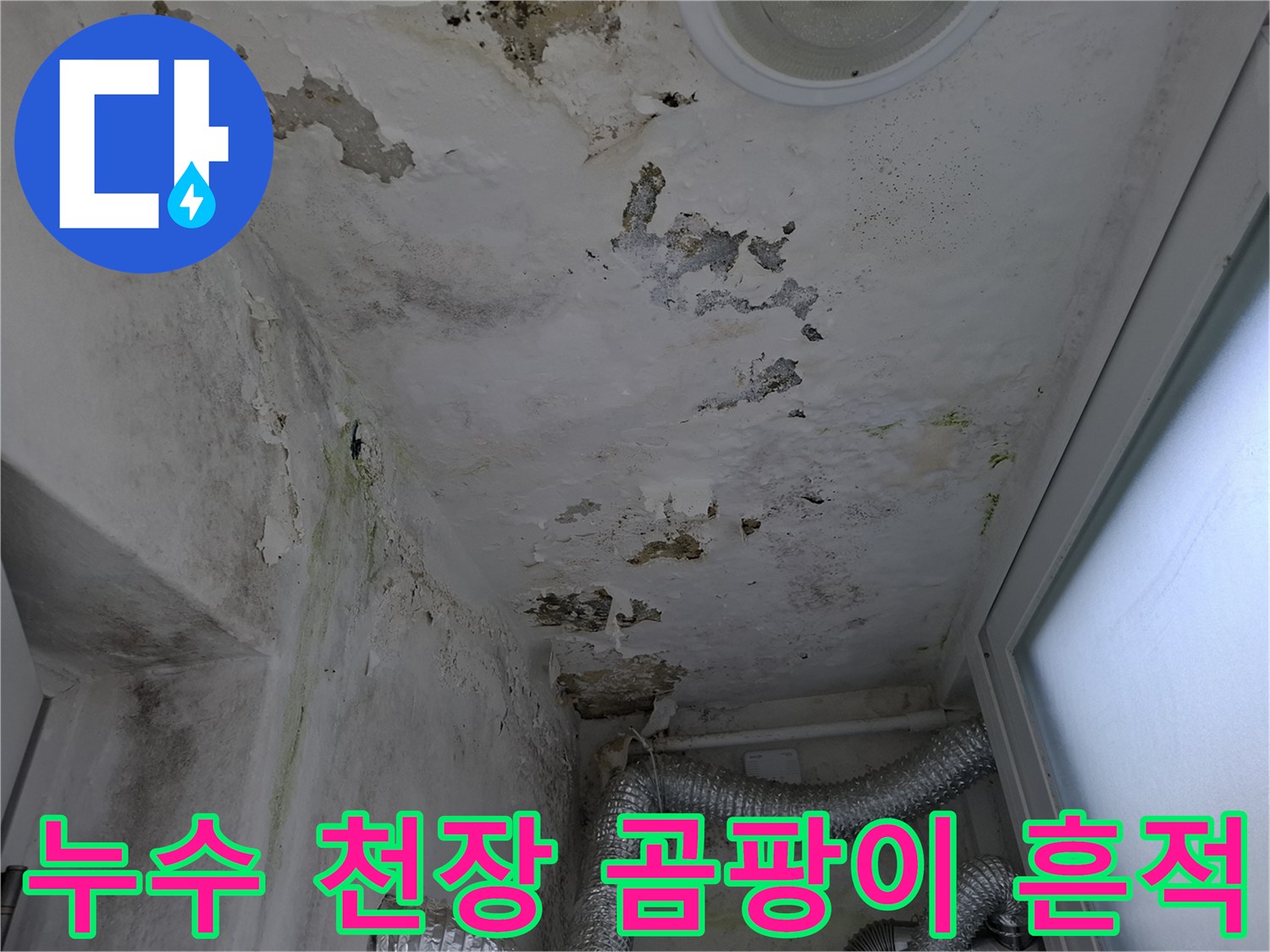 천장 마감재의 변색과 곰팡이가 심한 누수 피해 현장
