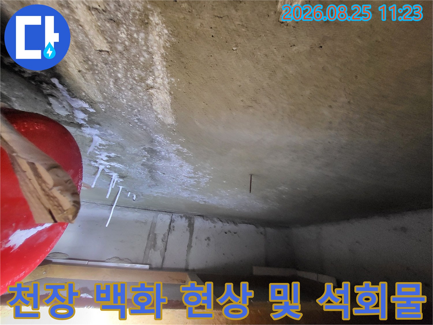 고양시 중산동 화장실 천장에 발생한 하얀 백화 현상과 석회물 고드름 상태