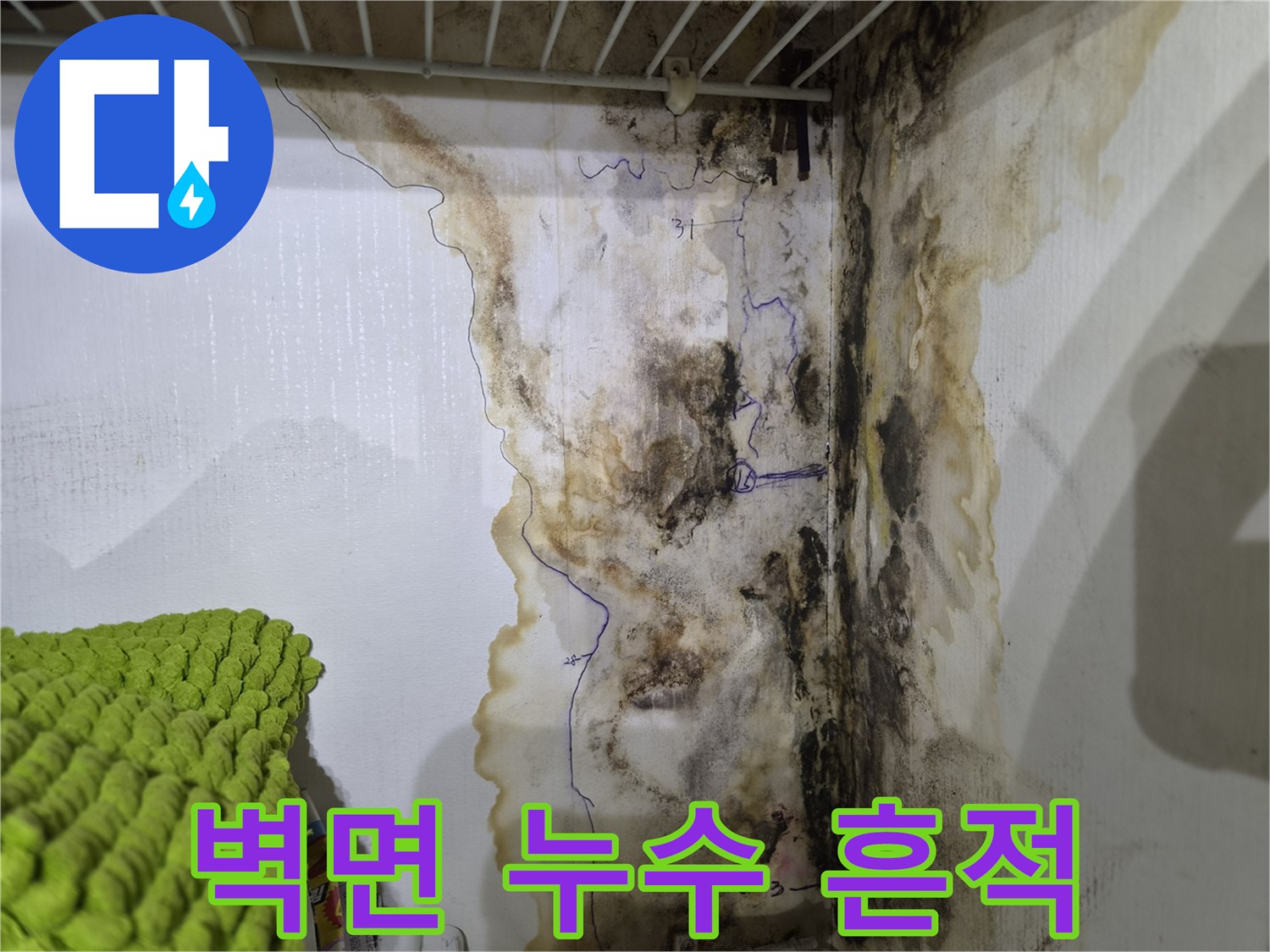 갈색 물자국과 - 곰팡이가 심하게 발생한 벽면 모습입니다
