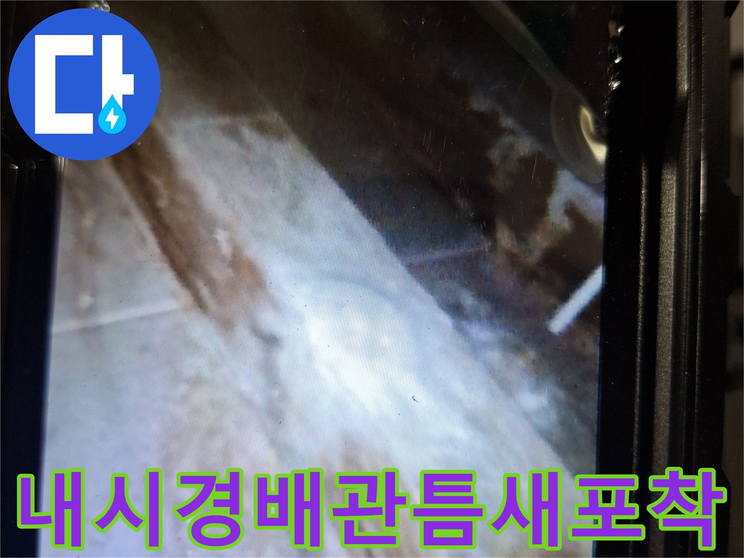 배수구-안쪽-배관-주변의-벌어진-공극과-습기