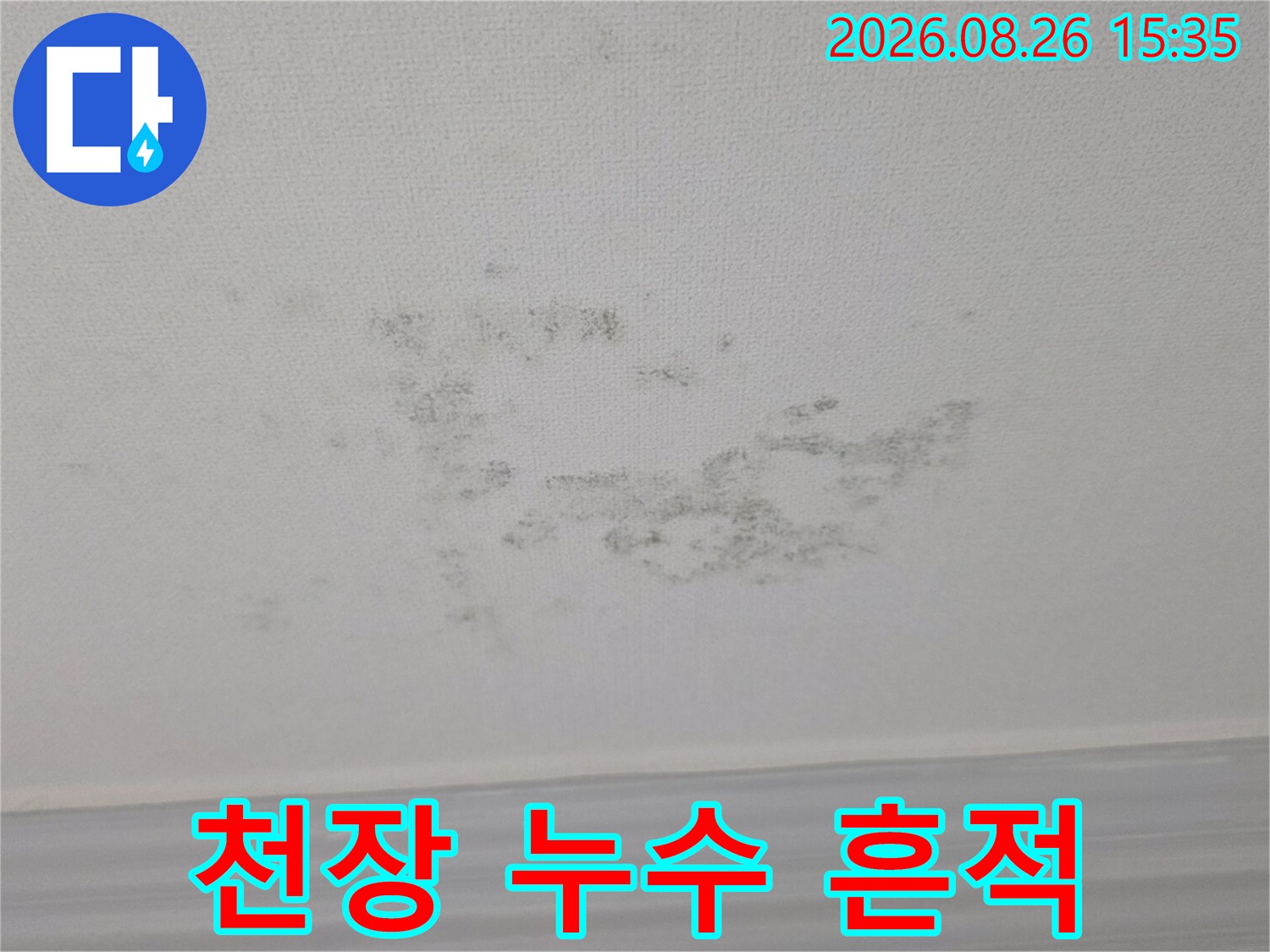 광주 송정동 빌라 천장의 곰팡이와 습기 자국 확인