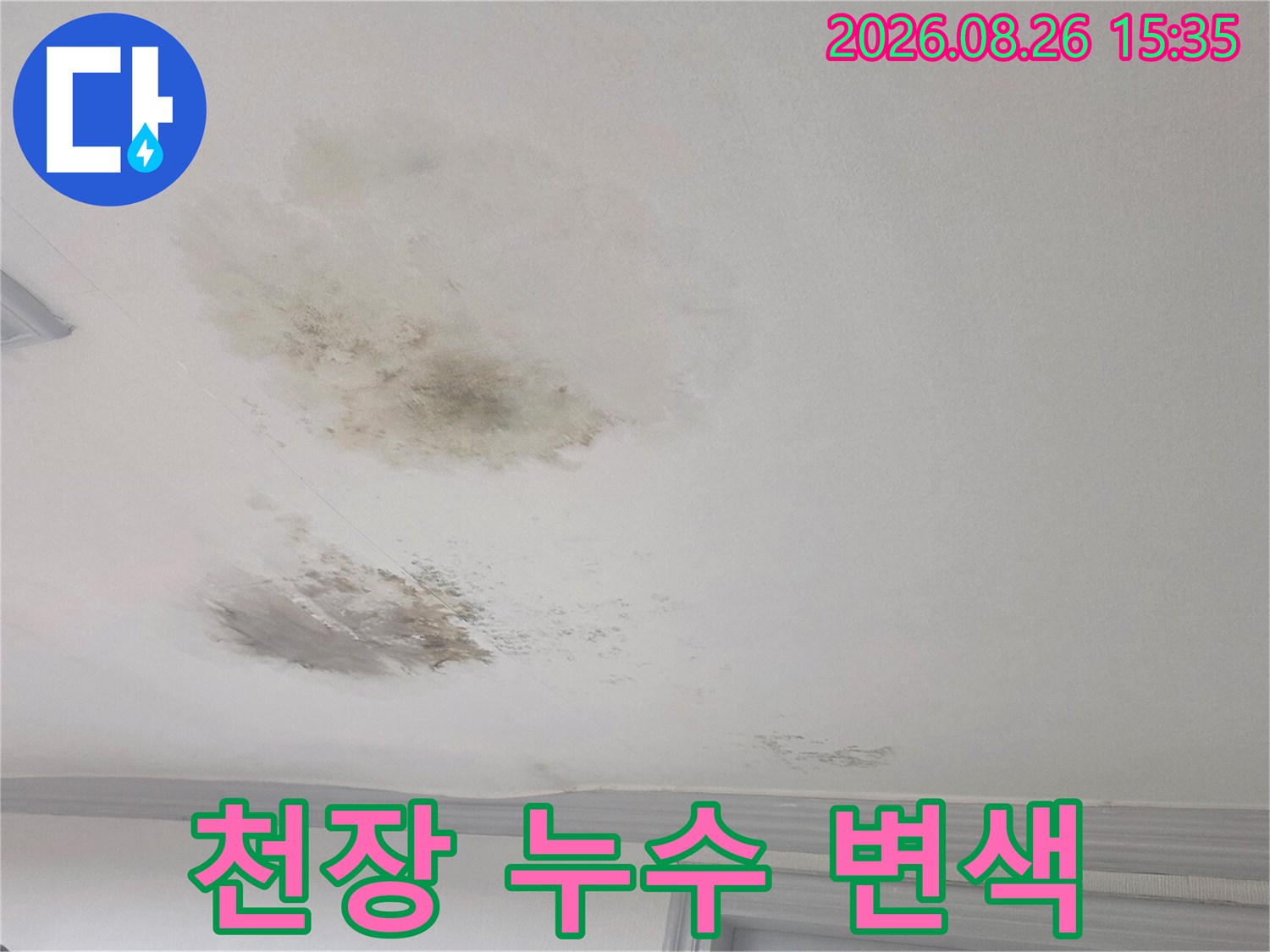 천장 천장에 나타난 넓고 어두운 형태의 누수 흔적과 곰팡이