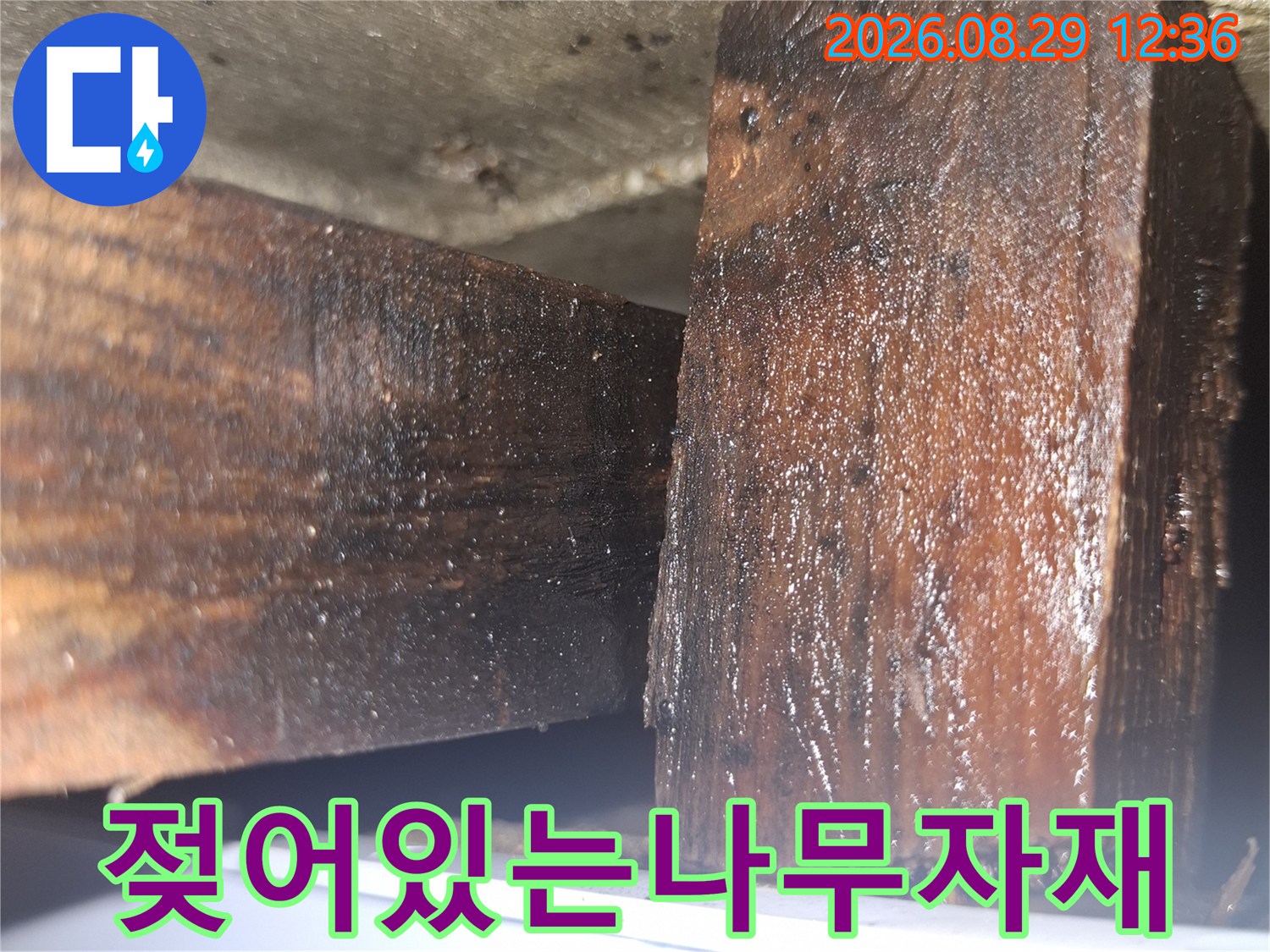 싱크대 하부의 목재 자재가 물기에 젖어 검게 변색된 사진입니다.