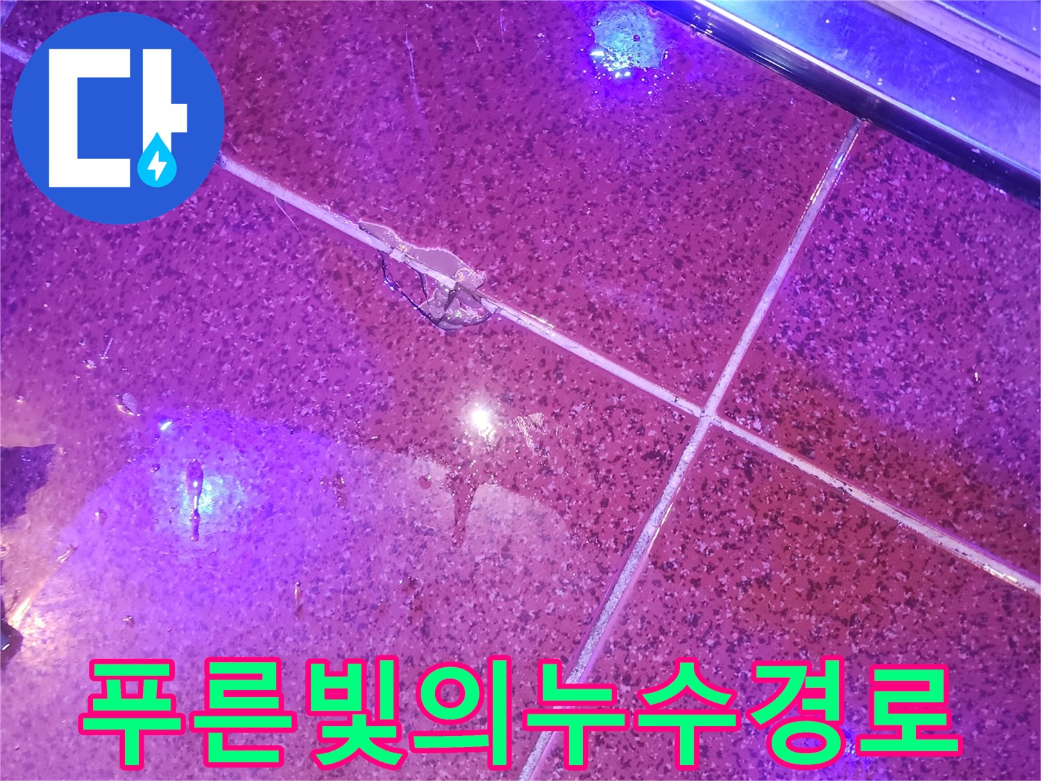 자외선-조사-시-발견된-타일-하부-습기-유입-지점