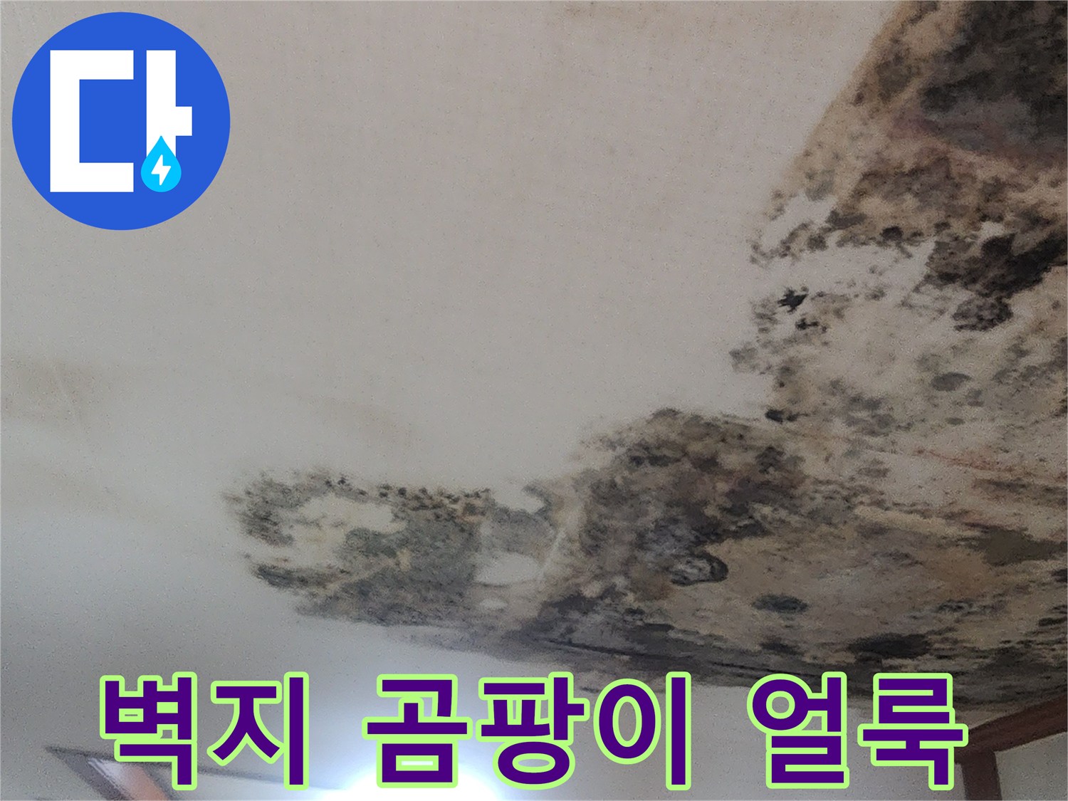 천장 가장자리-심각한 곰팡이와 물자국 오염 상태