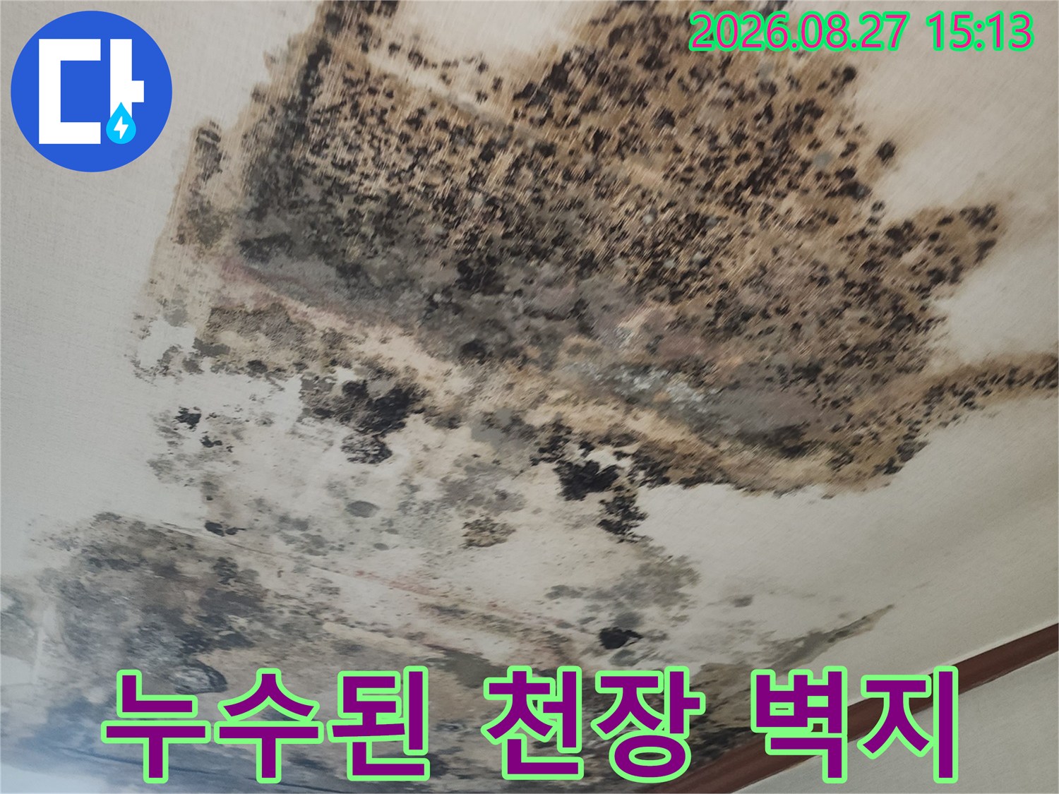 천장 소방감지기 주변으로 번져 있는 누수 흔적과 곰팡이 오염