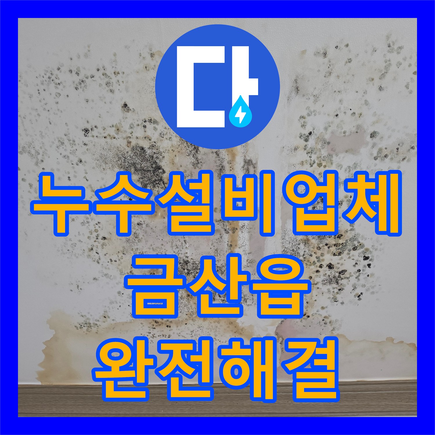 누수설비업체 화장실 천장 곰팡이의 원인인 직수 밸브 교체 공사 충남 금산군 금산읍