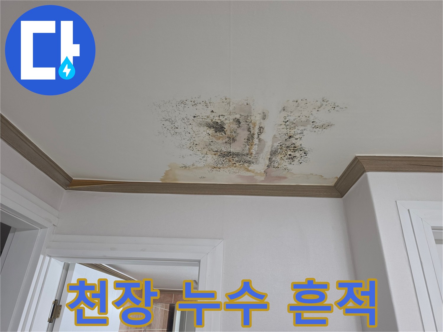 아파트 안방 천장에 발생한 넓은 범위의 물자국과 곰팡이 현상