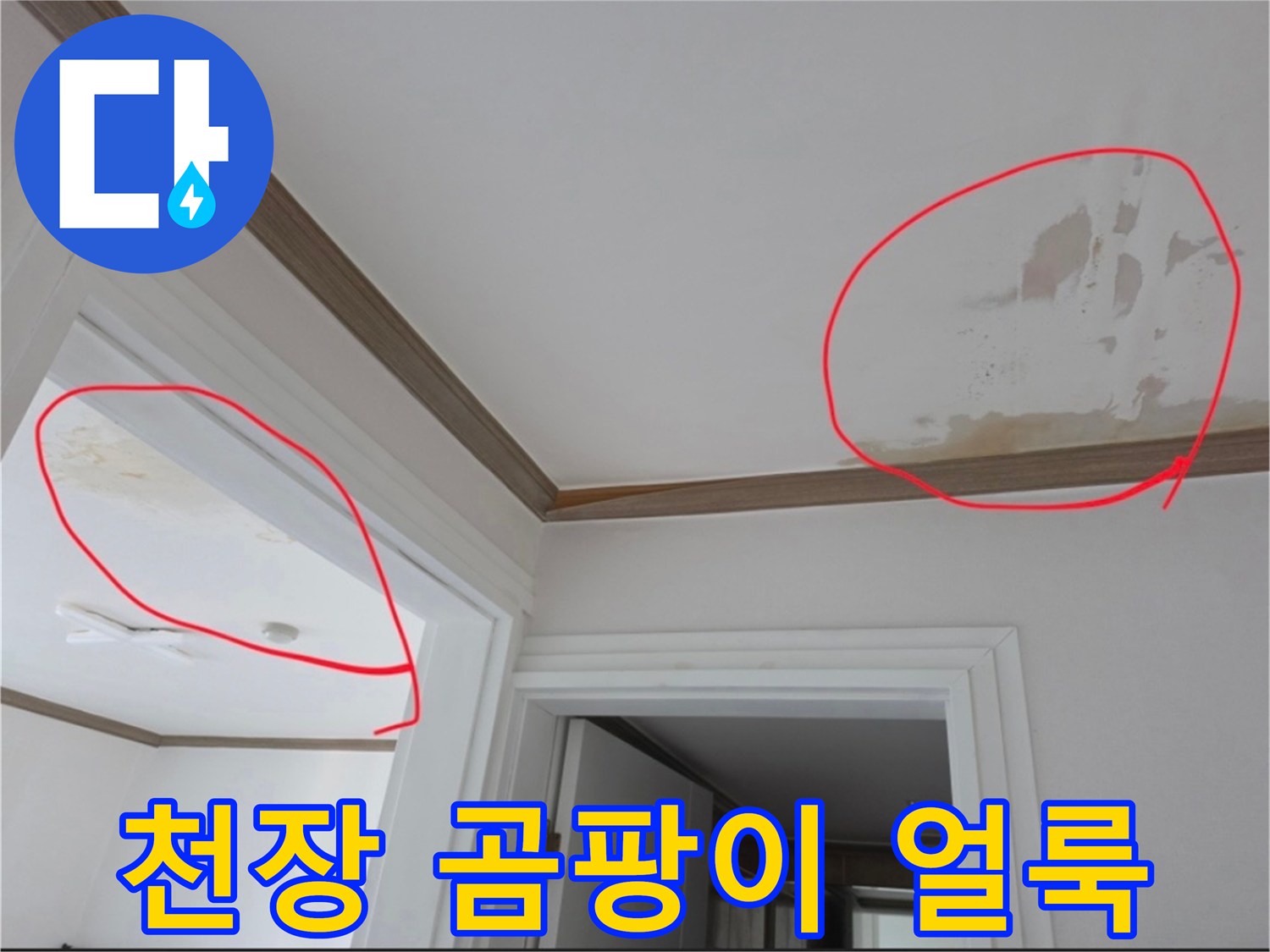 천장-벽지-주변의-곰팡이와-물번짐-현상