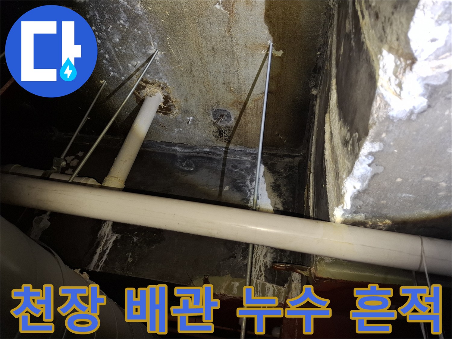 천장 내부 배관 주변의 습기와 물샘 흔적 확인
