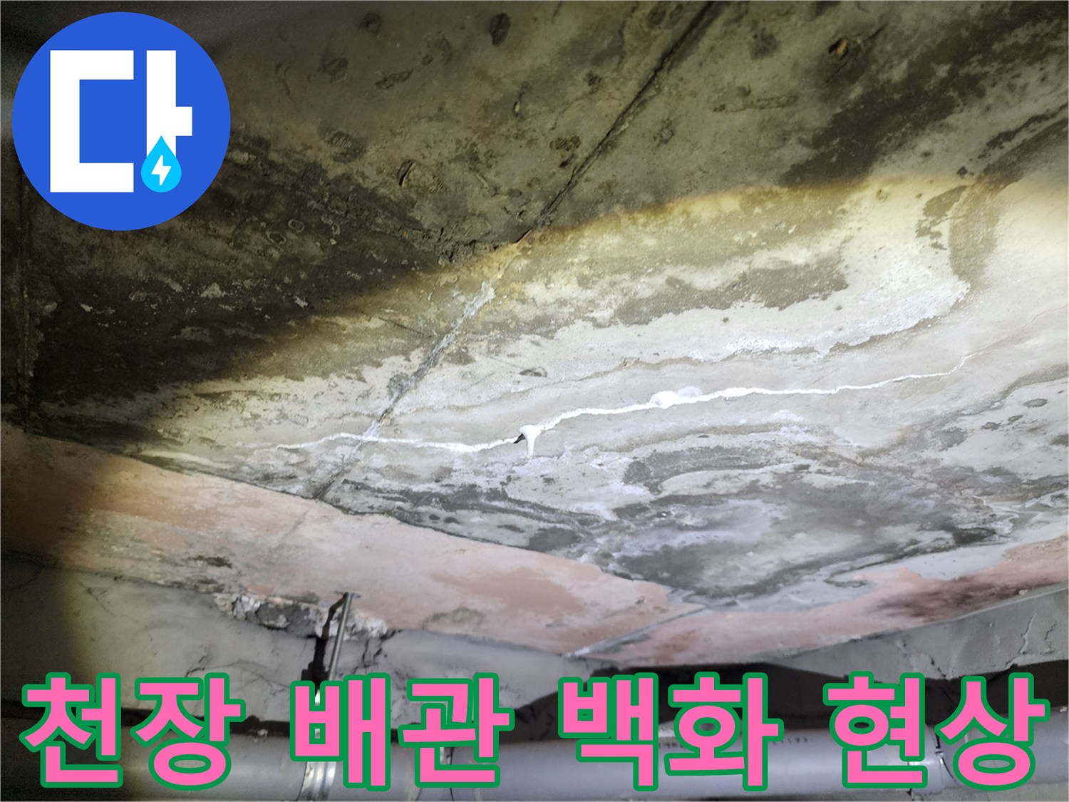 용인 수지 아파트-배관 주변 콘크리트에 나타난 하얀 석회와 물길 흔적