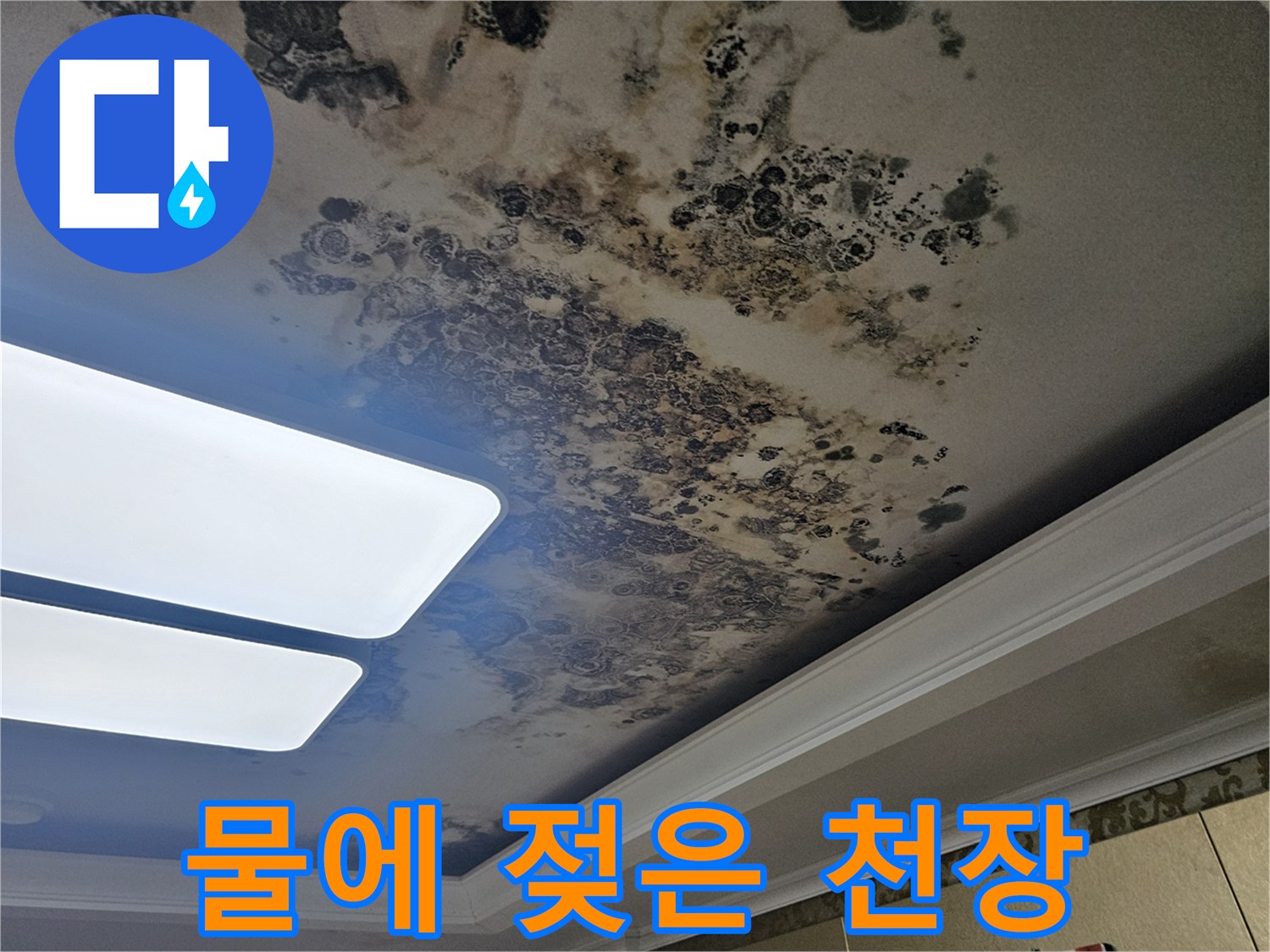 천장 도배지가 물에 젖어 변색되고 곰팡이가 피어있는 상태