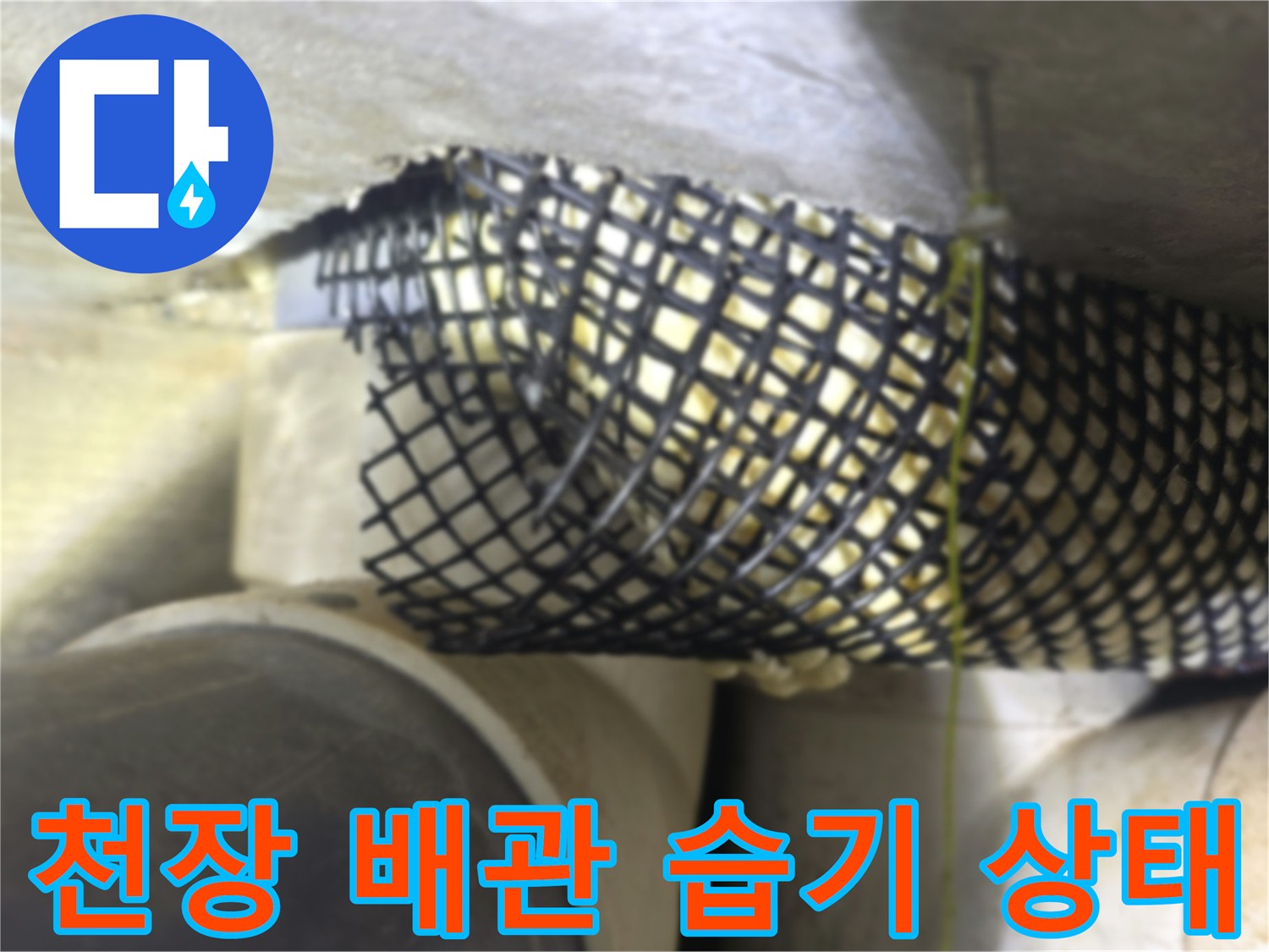동두천 생연동 빌라-천장 내부 배관 주변의 습기와 오염 상태를 확인하는 장면