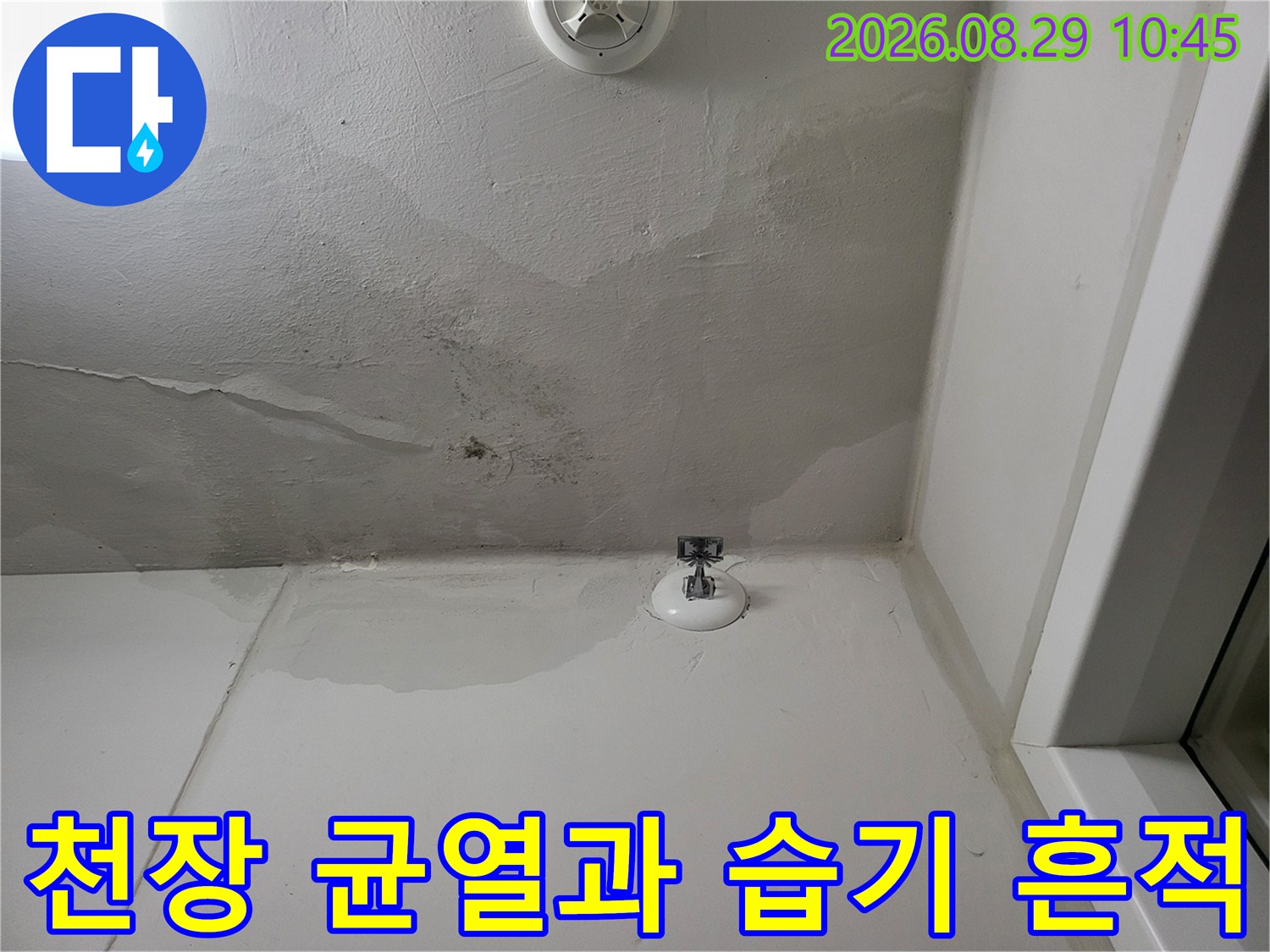 산척동 아파트 세탁실-천장 벽면을 따라 넓게 퍼진 물자국과 변색된 부위