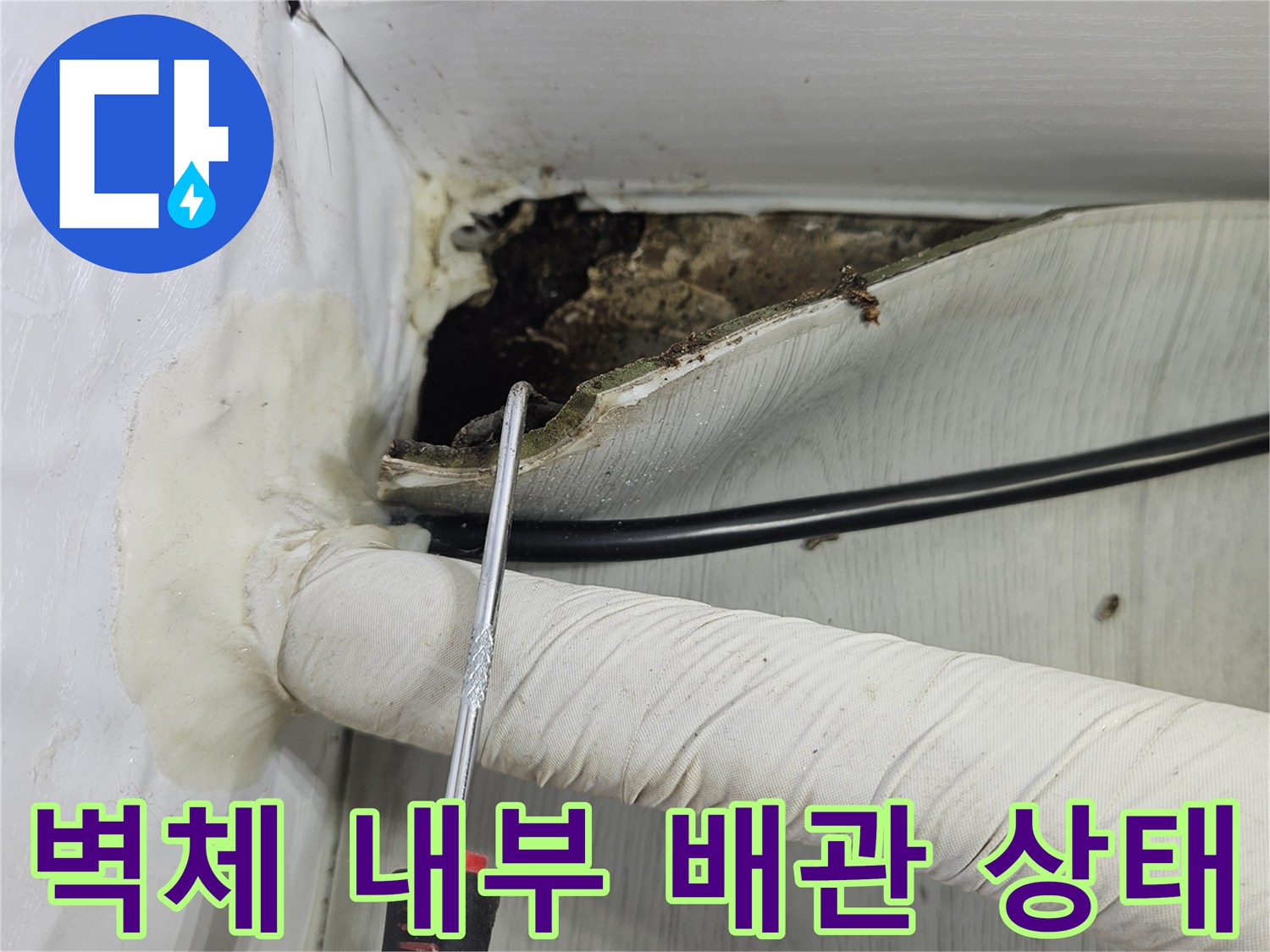 싱크대 하단 벽체-배관 주변의 습기와 곰팡이 노출 부위
