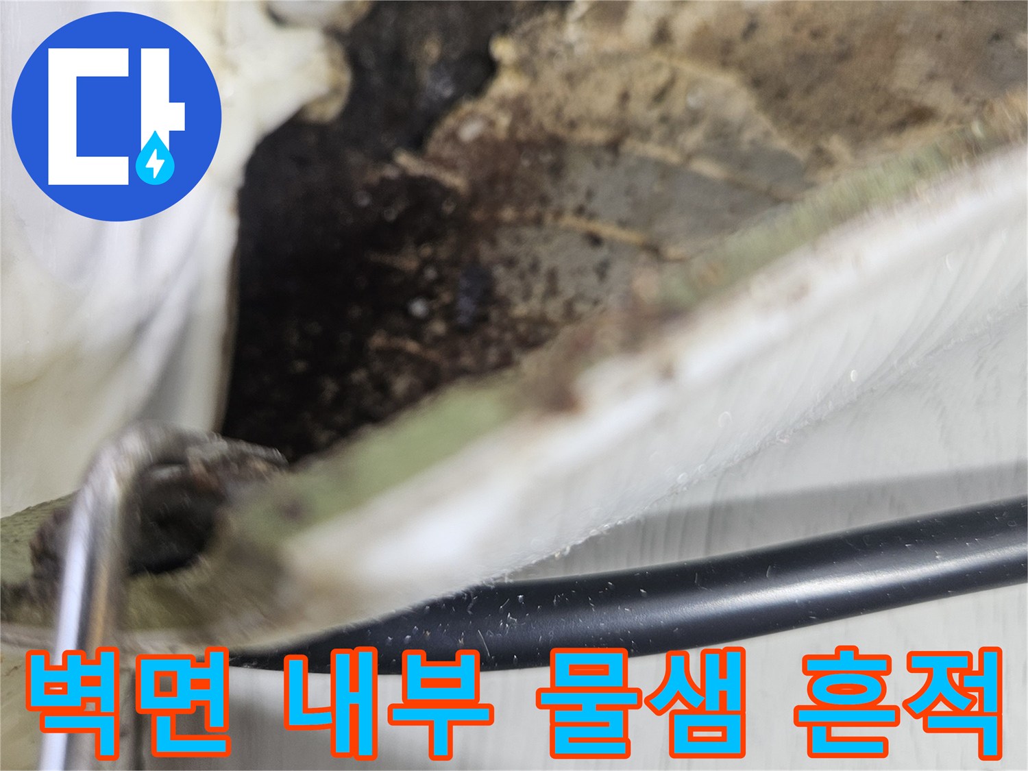 절개된 벽체 내부-습기로 인한 곰팡이 발생 상태