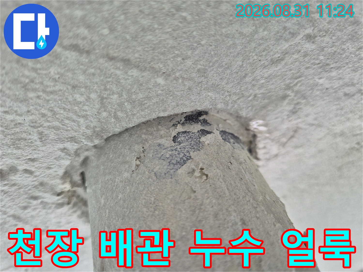 상계동 세탁실 천장 배관을 따라 발생한 어두운 누수 자국