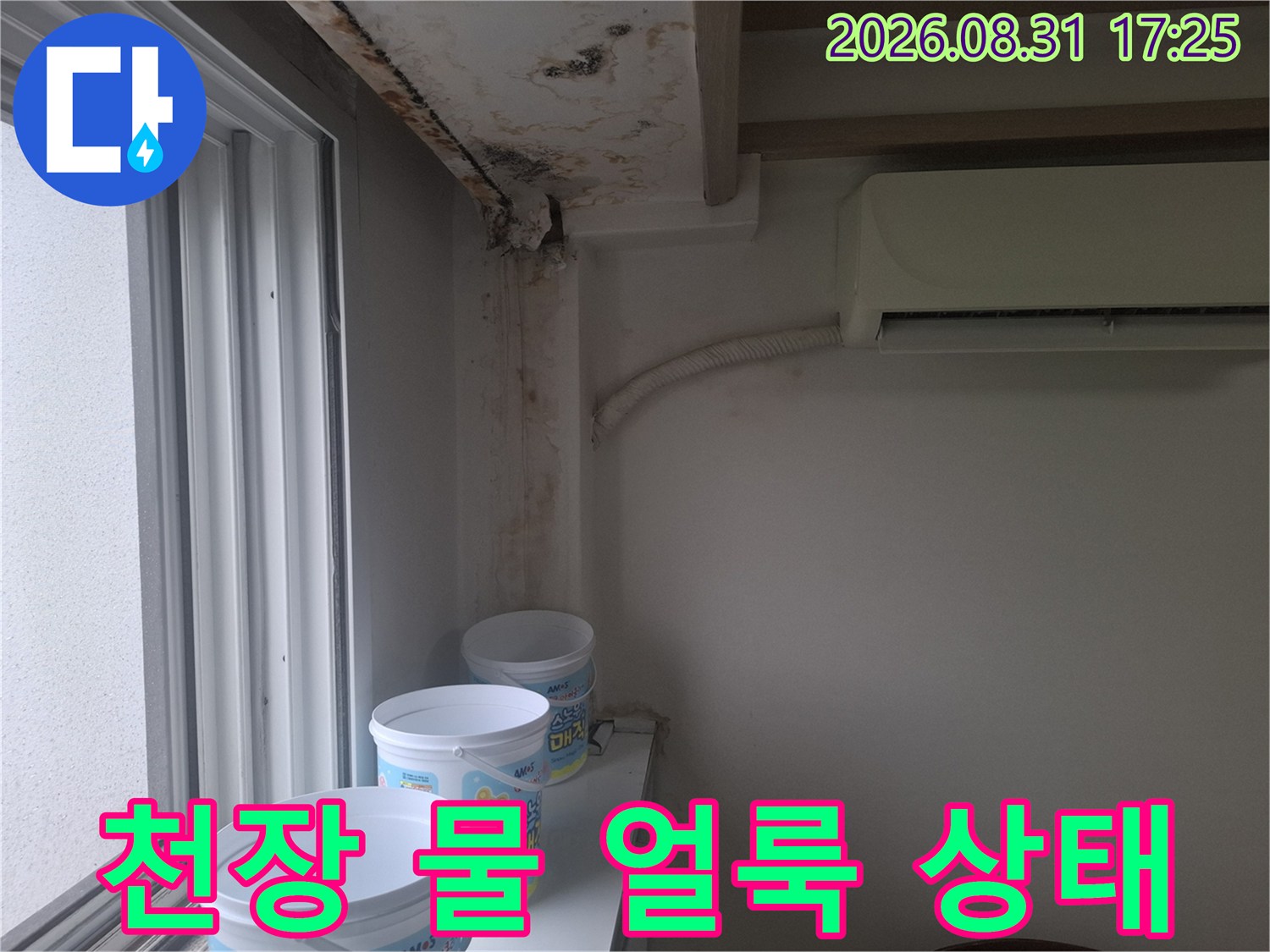 마포구 아현동 현장의 천장과 벽면에 발생한 광범지한 물 얼룩 및 곰팡이 사진