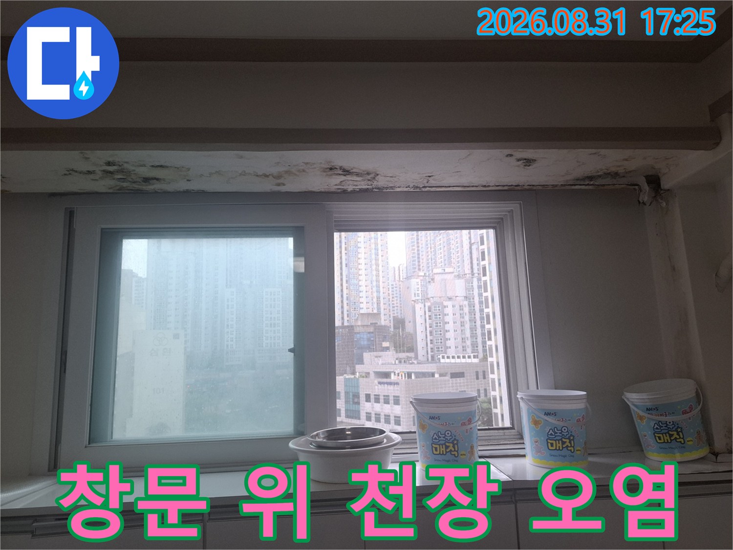창가 천장 마감재-곰팡이가 번진 벽면과 천장 경계 부위