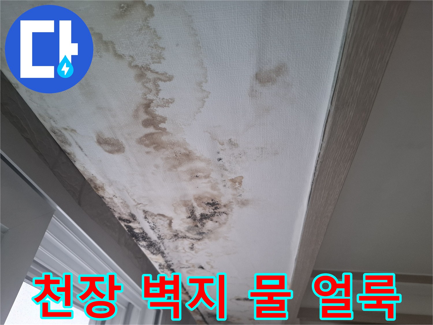 천장 벽면의 갈색 물자국과 검은 곰팡이 번식 부위