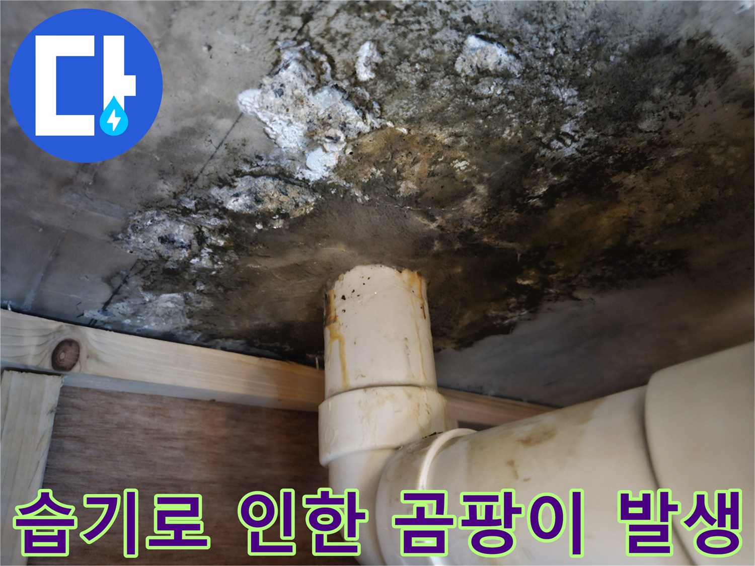 천장 배관 주변-심한 곰팡이 오염 상태