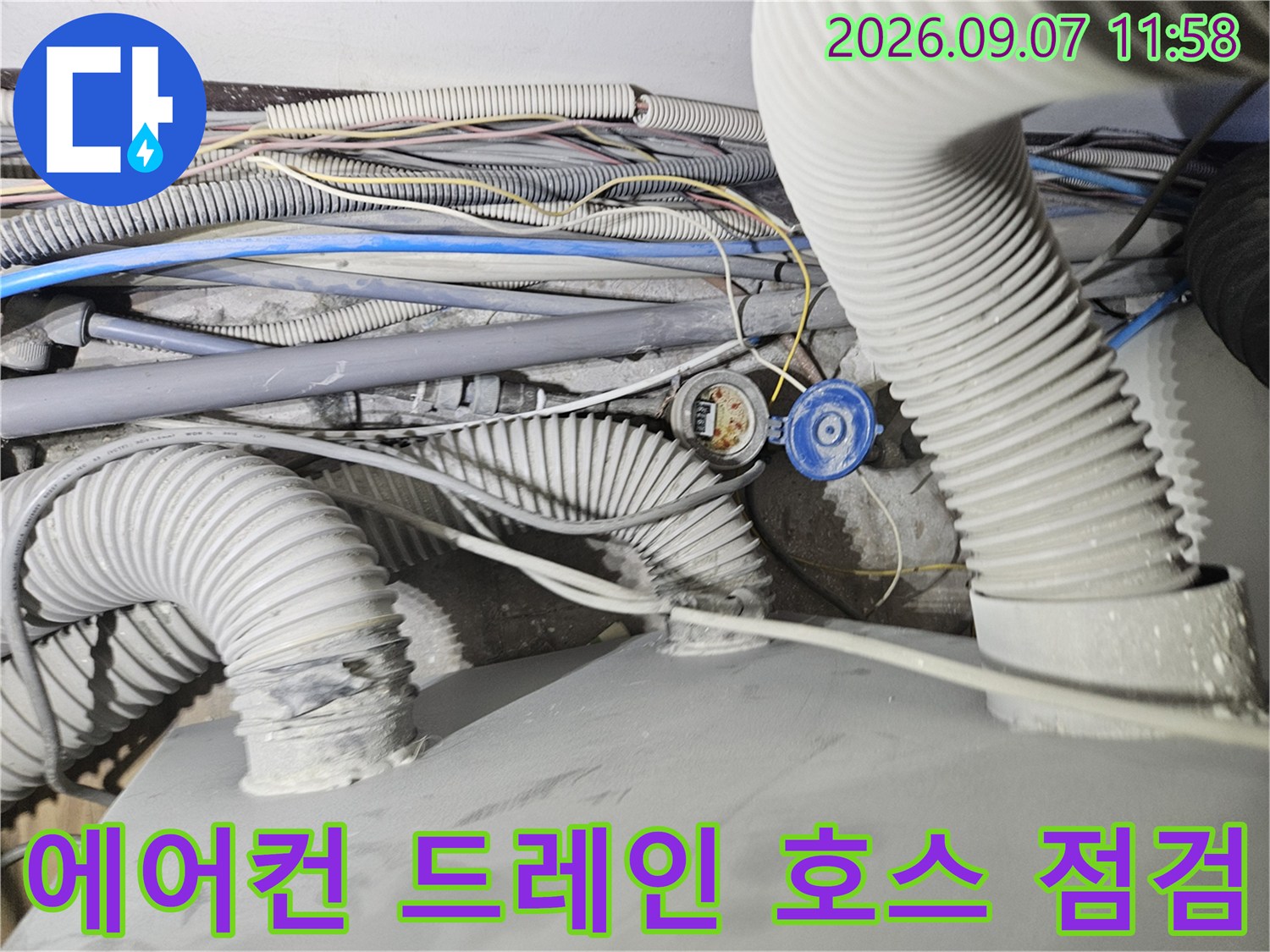천장에 설치된 주름 배관과 전기 콘센트 주변의 누수 흔적을 확인합니다.