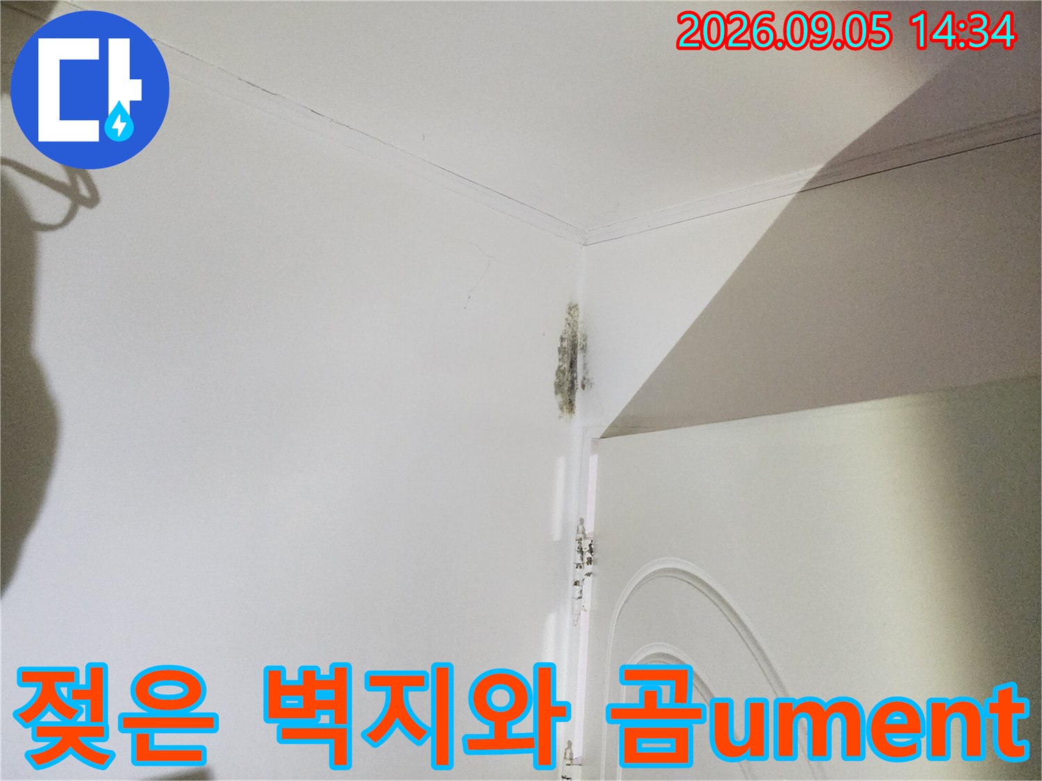 문틀 상단 모서리에 발생한 벽지 변색 및 곰팡이 현상