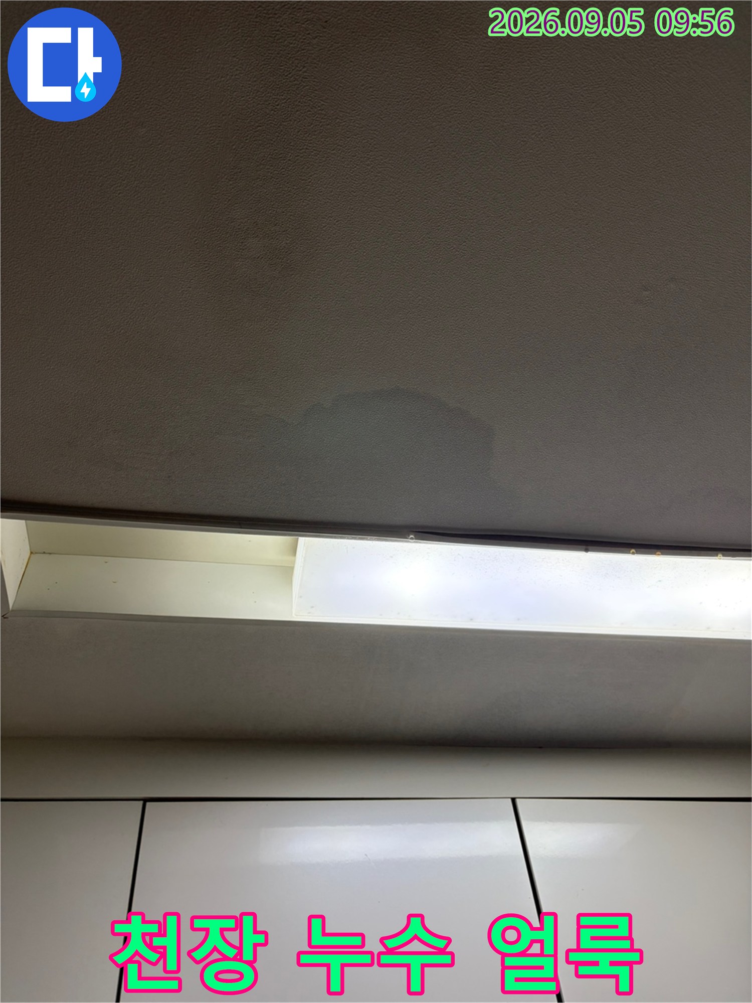 용인 처인구 양지읍 아랫집 거실 천장에 발생한 누수 흔적과 젖은 자국